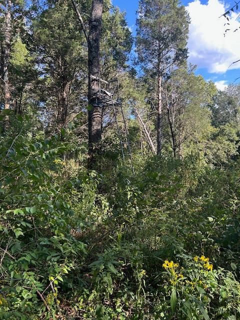 0 In-250 Vevay, IN 47043 - Photo 4 of 41