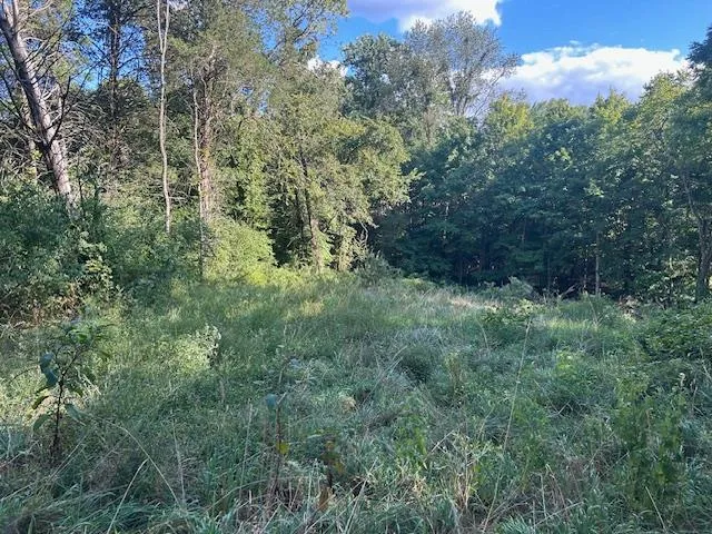 $144,900 | 0 In-250, Vevay, IN 47043