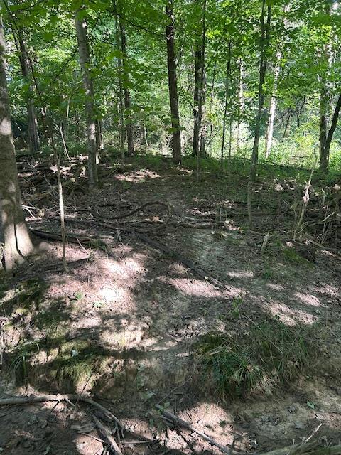 0 In-250 Vevay, IN 47043 - Photo 6 of 41