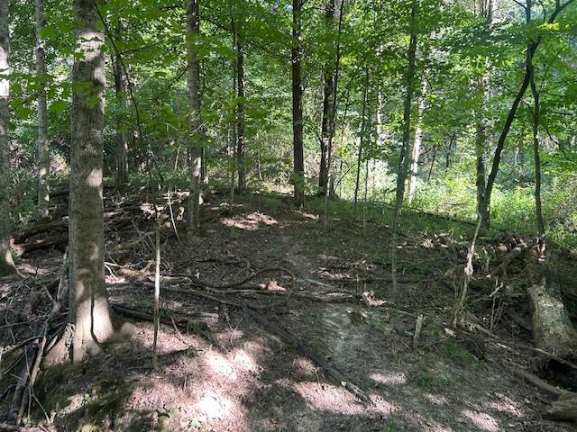 0 In-250 Vevay, IN 47043 - Photo 7 of 41