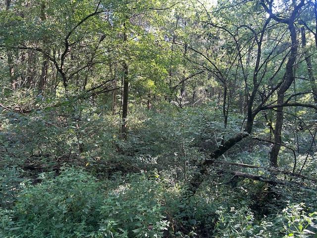 0 In-250 Vevay, IN 47043 - Photo 8 of 41