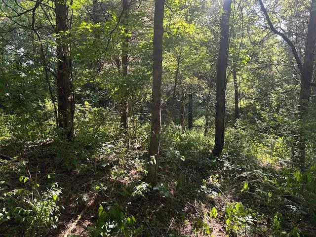 $144,900 | 0 In-250, Vevay, IN 47043