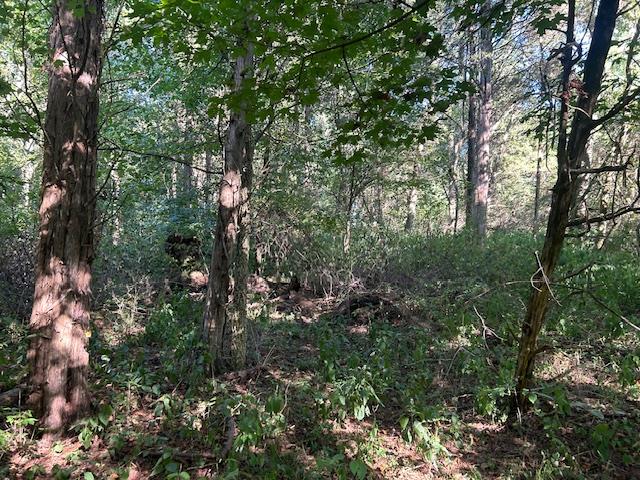 0 In-250 Vevay, IN 47043 - Photo 10 of 41