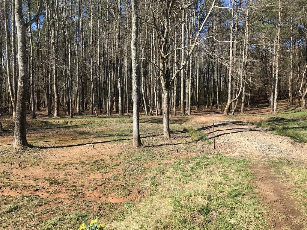 Level entrance on Upper Bethany Road into 12.86 acres with tall trees and privacy! 