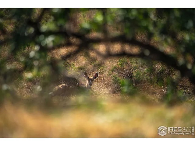a view of background and yard