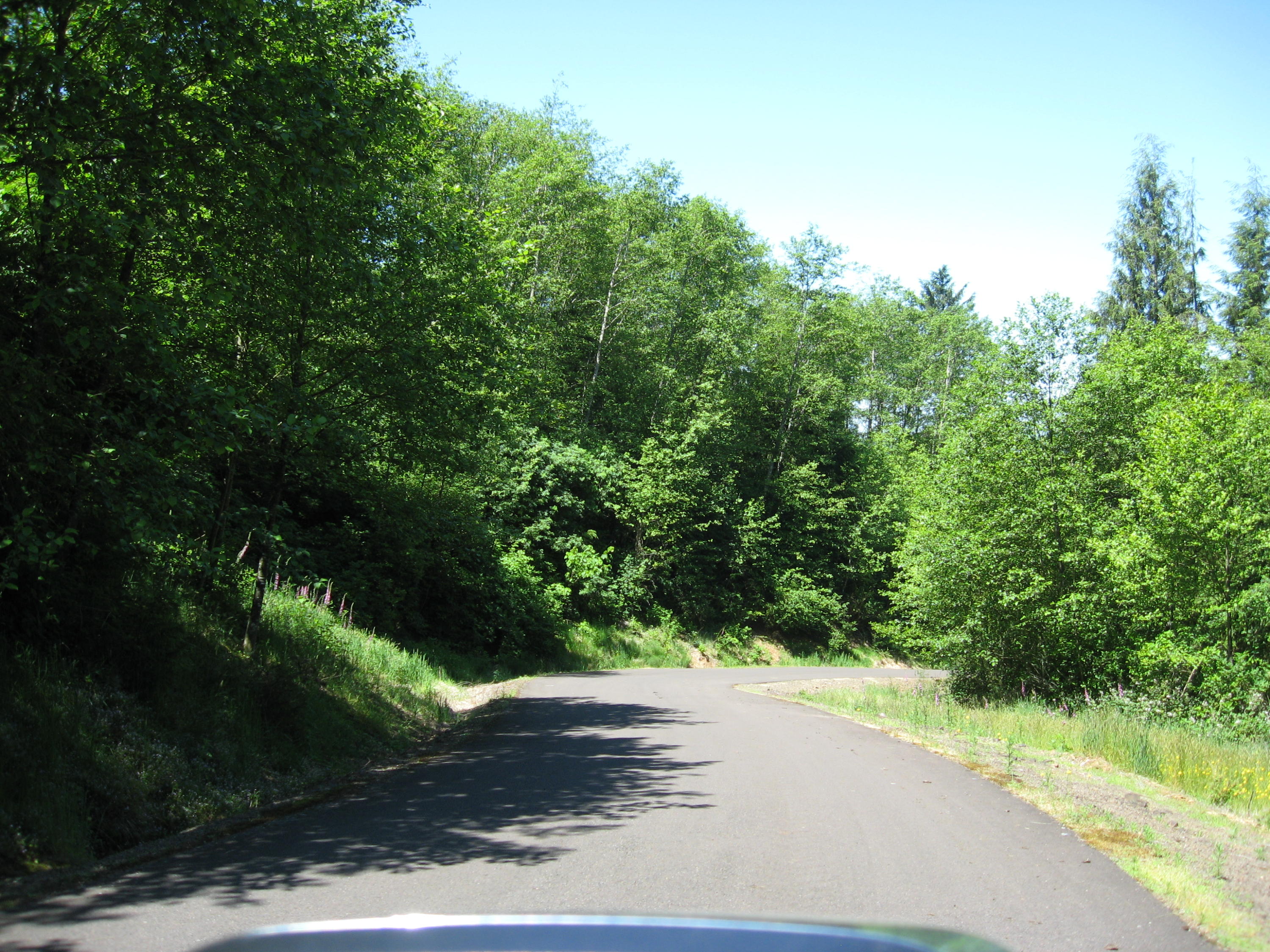 Lot Skyview Lot Skyview Road Tillamook, OR 97141 - Photo 20 of 20 030