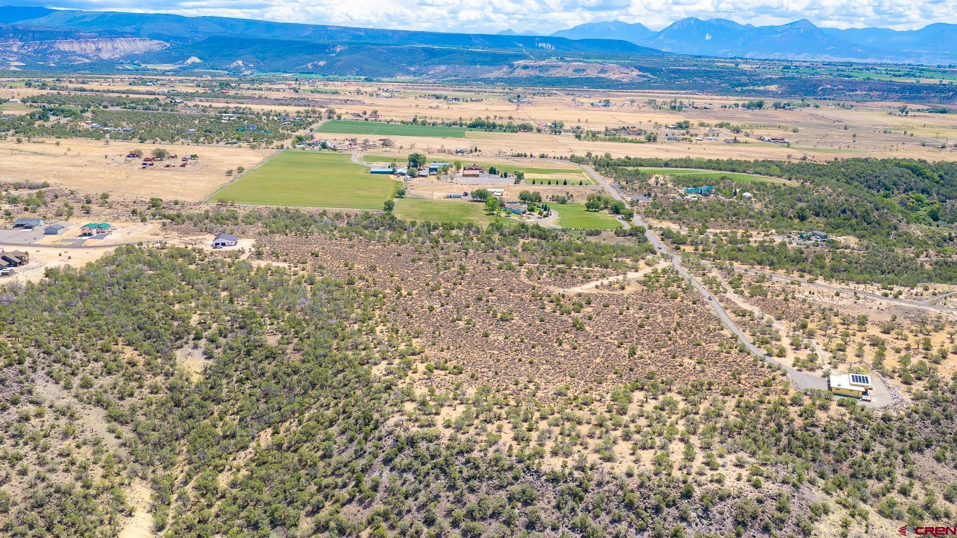 15369 2525 Road Cedaredge, CO 81413 - Photo 5 of 18 Gallery Image 5