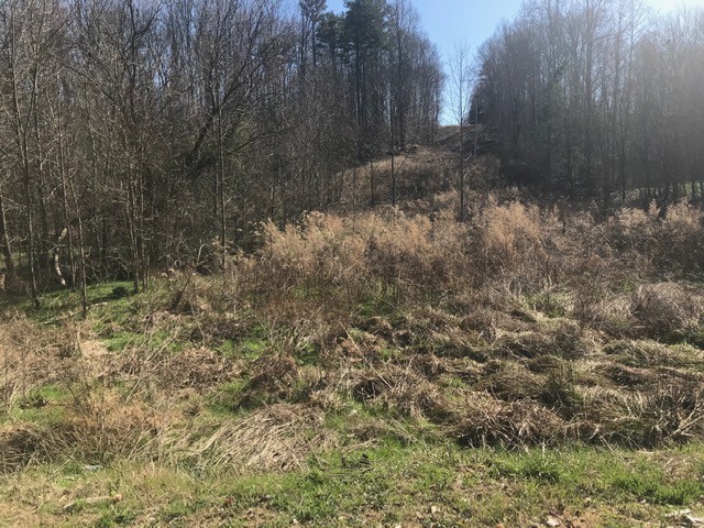 0 Suckstem Branch Road Lawrenceburg, TN 38464 - Photo 2 of 7 Gallery Image 2