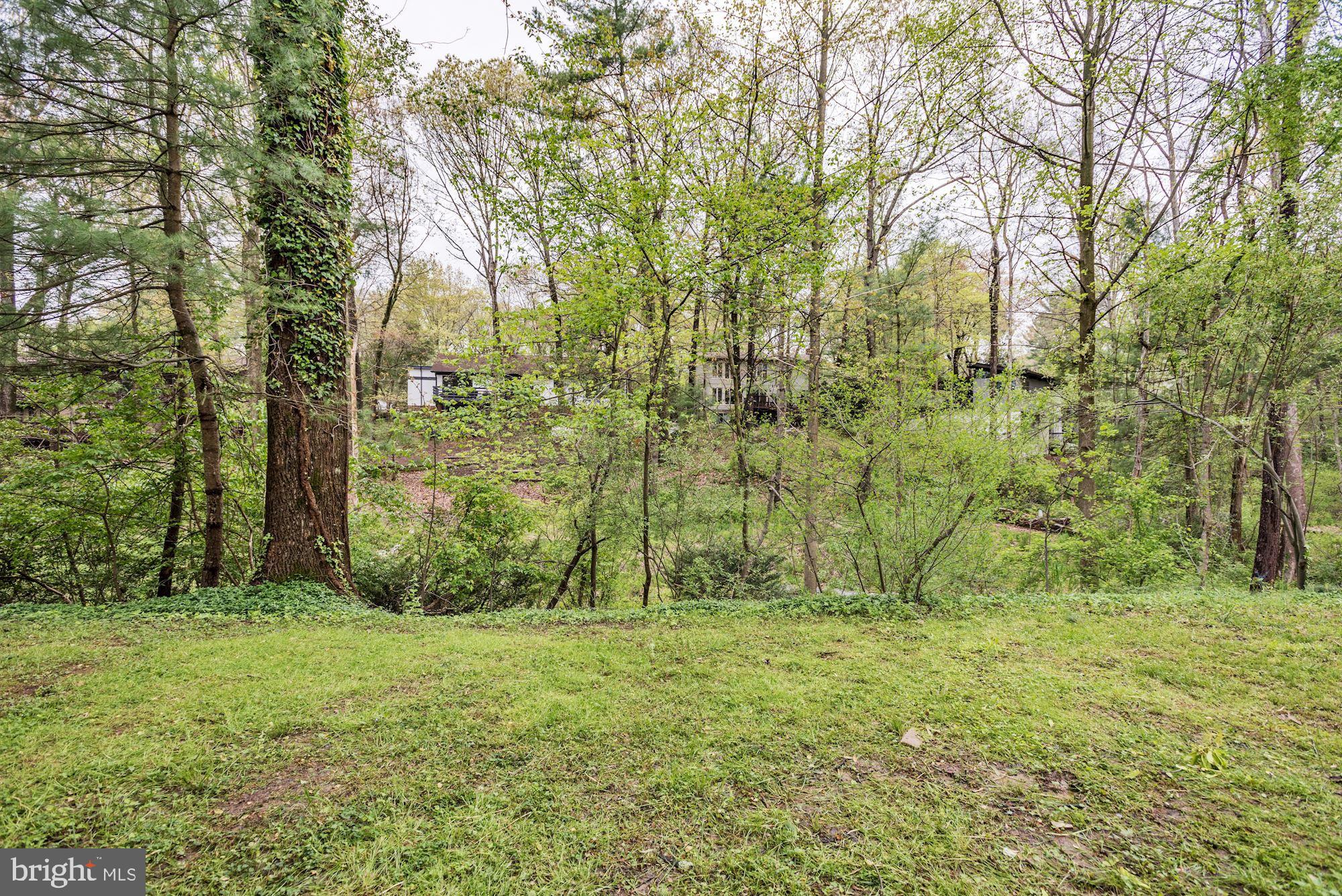 10816 Hunt Club Road Reston, VA 20190 - Photo 45 of 61