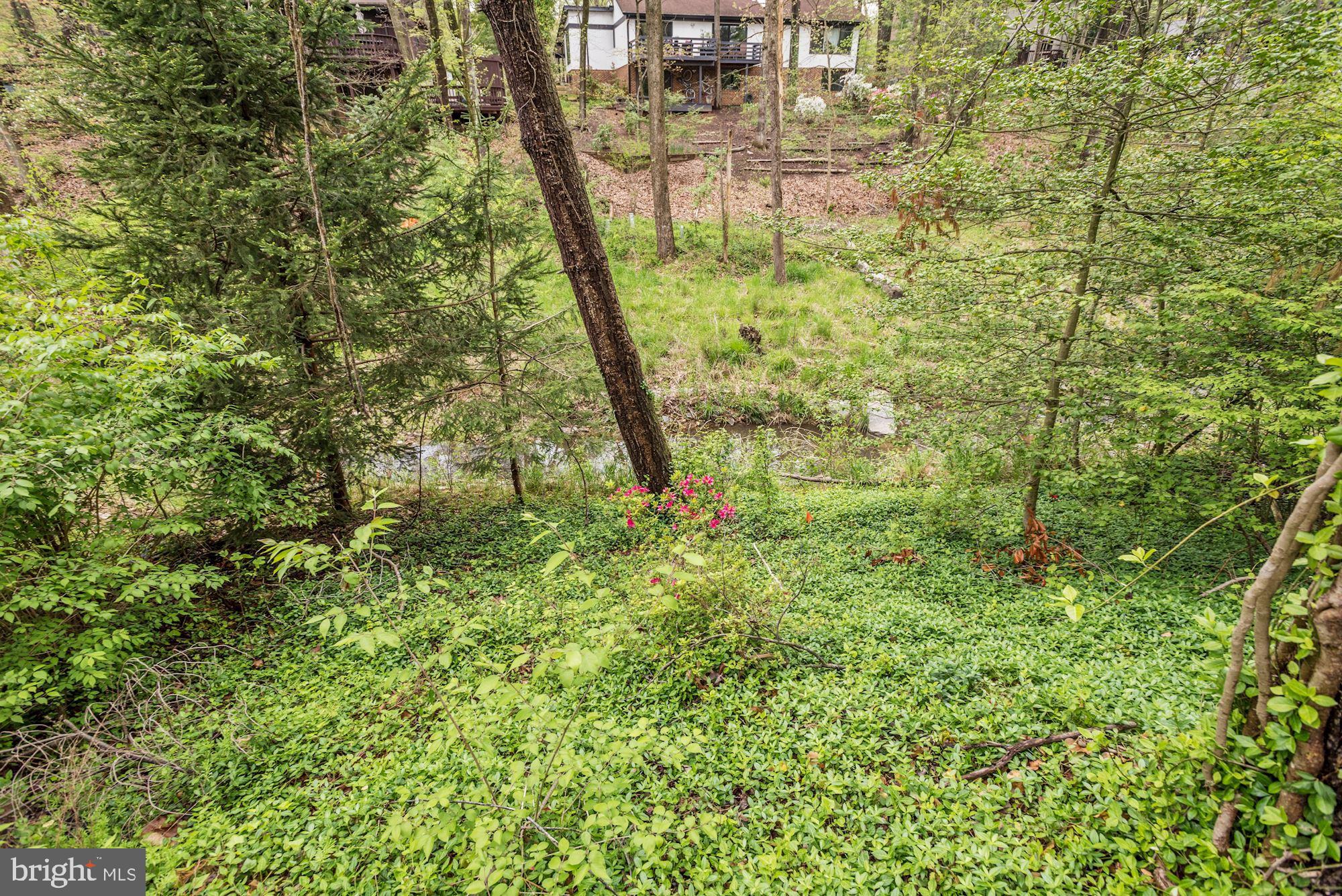 10816 Hunt Club Road Reston, VA 20190 - Photo 49 of 61