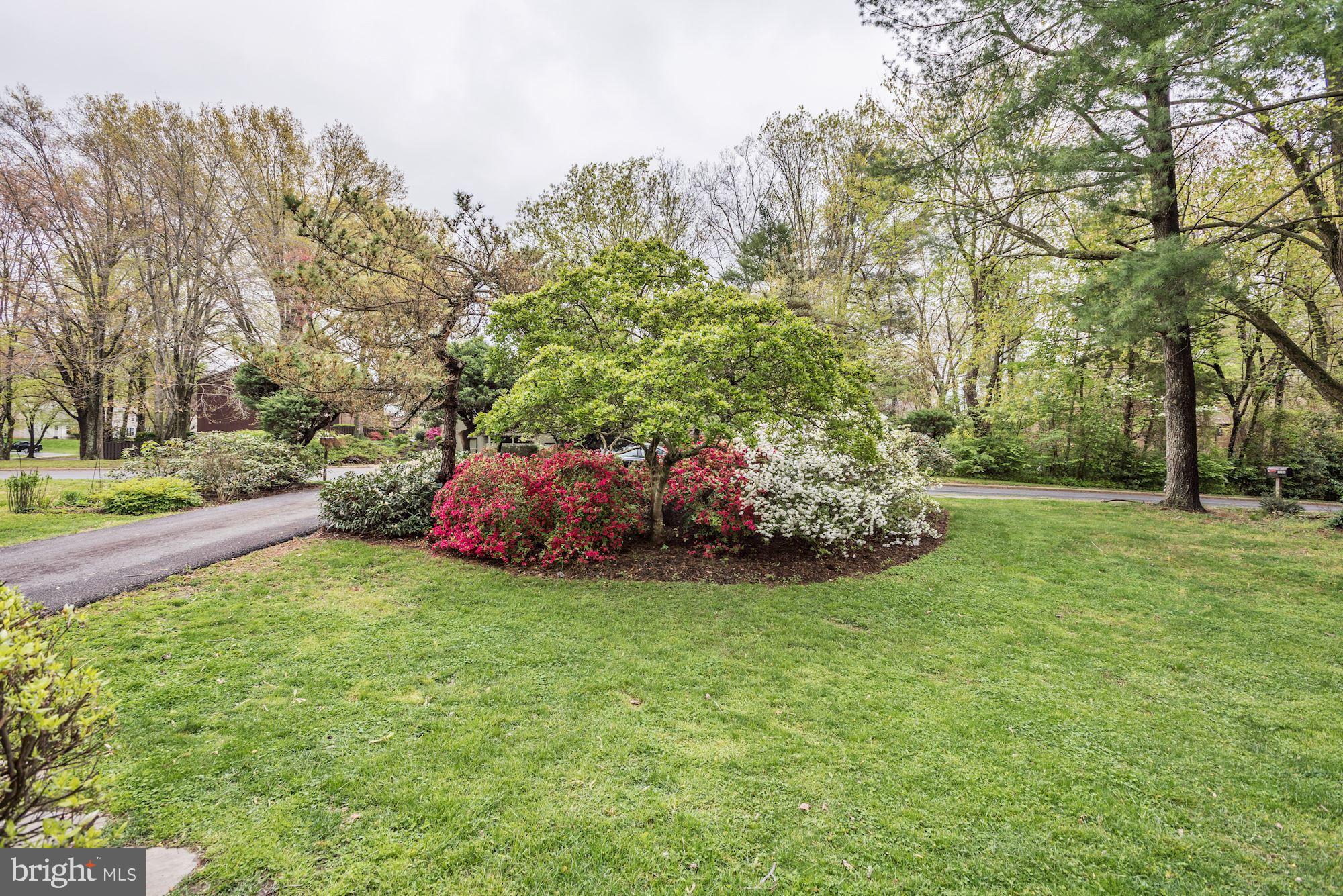 10816 Hunt Club Road Reston, VA 20190 - Photo 57 of 61
