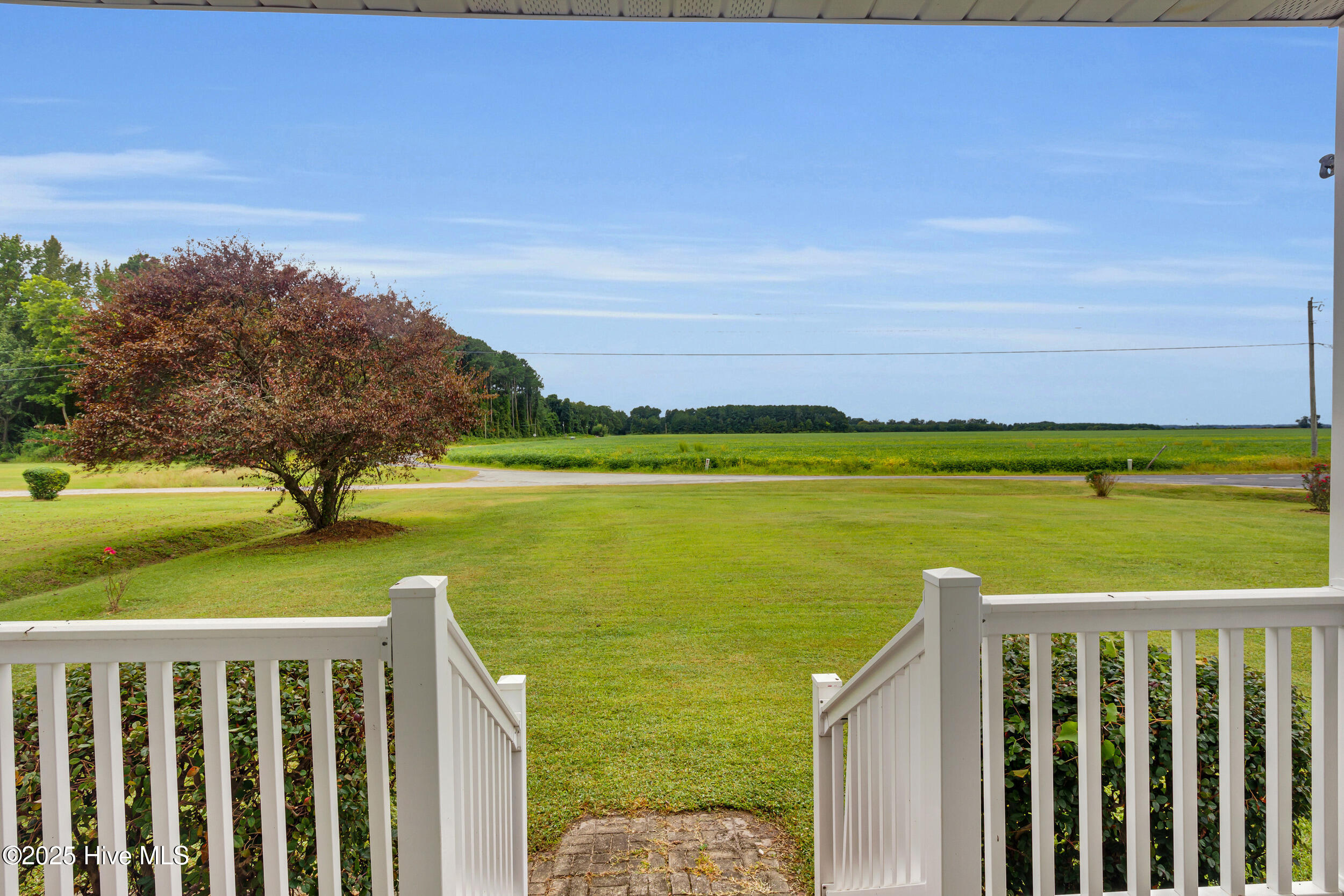 2717 Idalia Road Aurora, NC 27806 - Photo 2 of 37 26_5