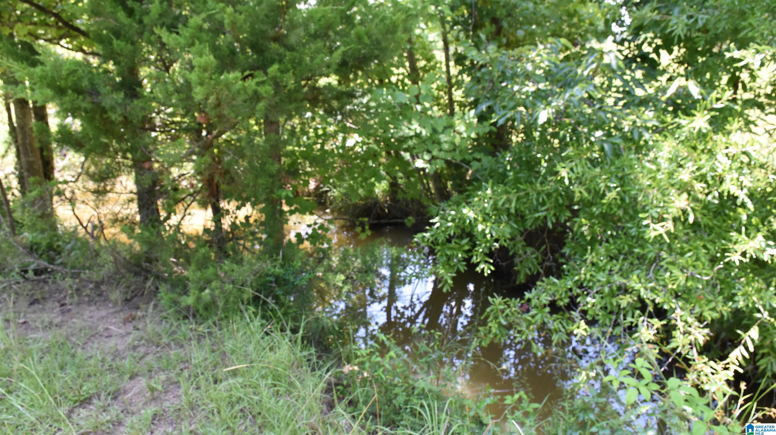 0 Risers Mill Road Alpine, AL 35014 - Photo 22 of 25