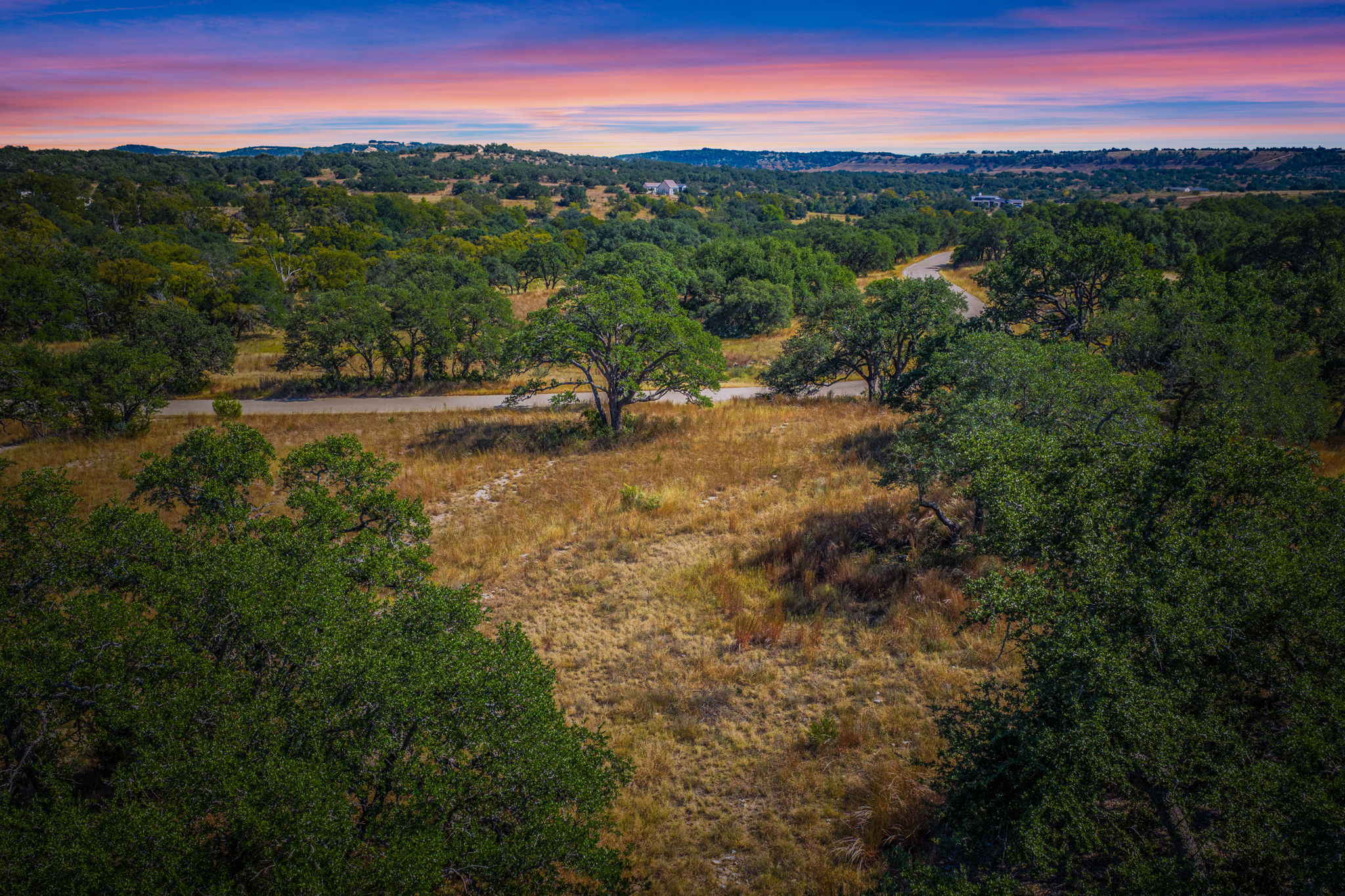 a view of a city with lush green forest