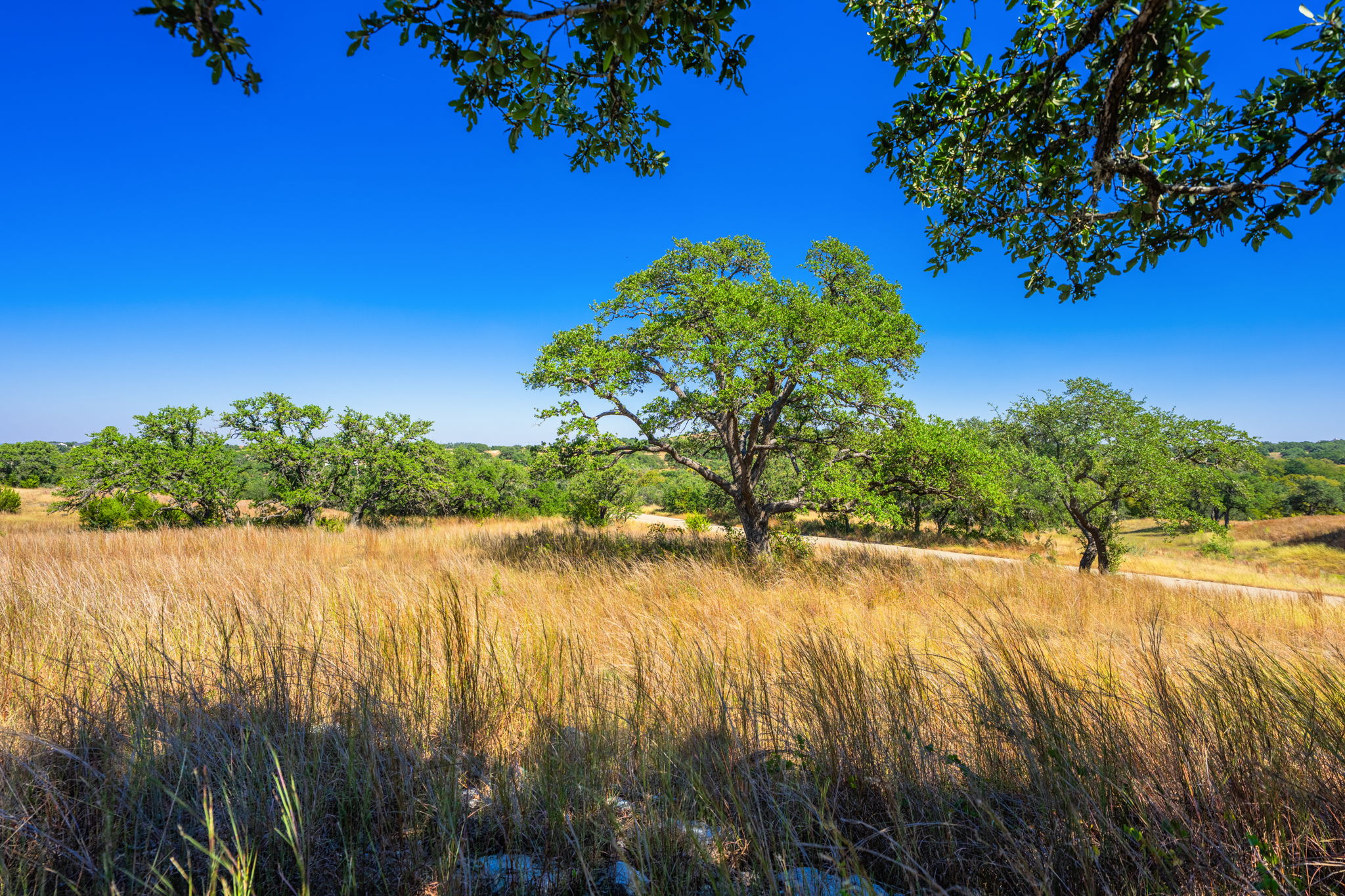 1495 Walnut Springs Road Johnson City, TX 78636 - Photo 11 of 23 a view of a lake