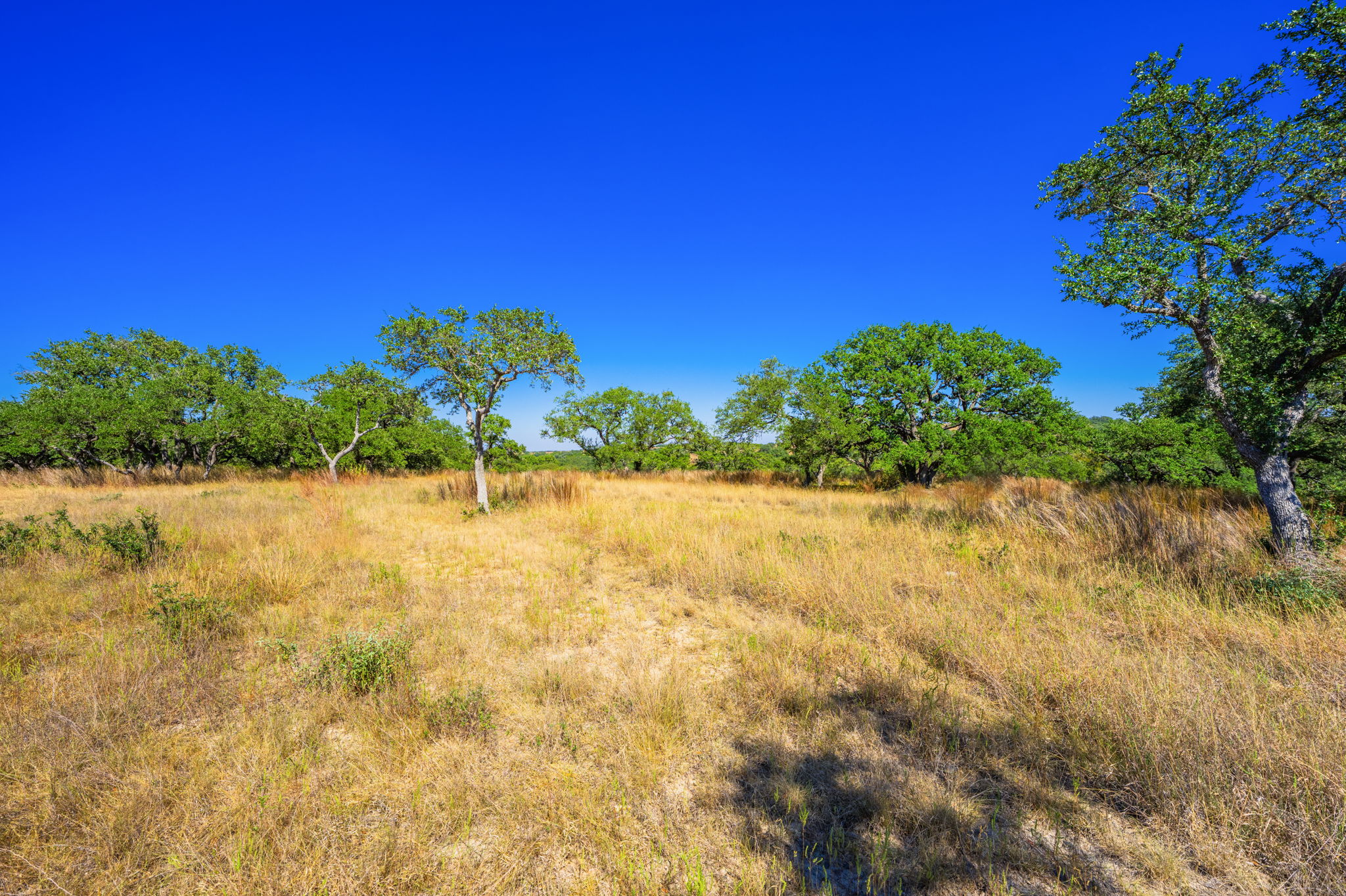1495 Walnut Springs Road Johnson City, TX 78636 - Photo 12 of 23 a view of a lake