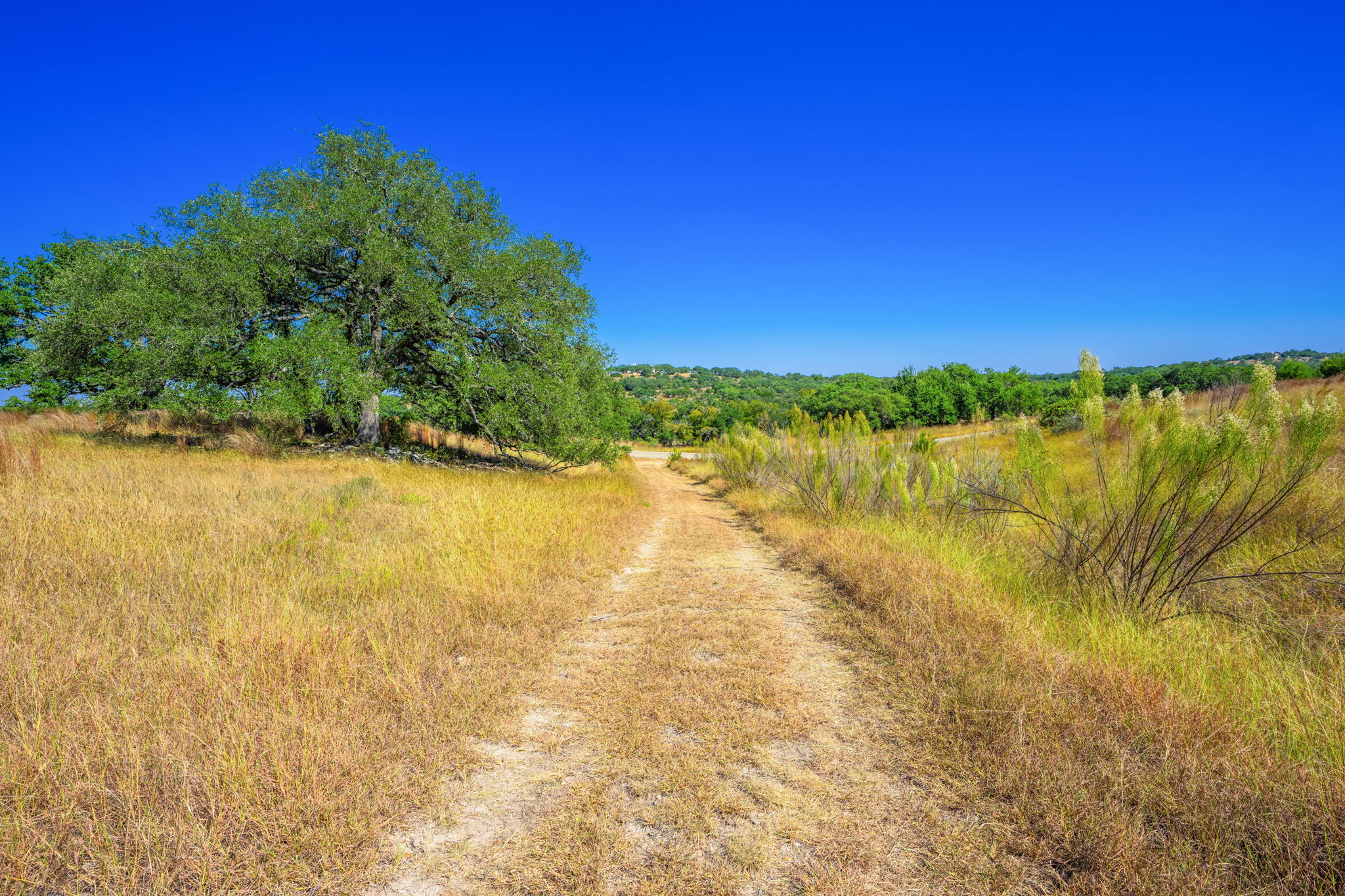1495 Walnut Springs Road Johnson City, TX 78636 - Photo 13 of 23 a view of lake with green space