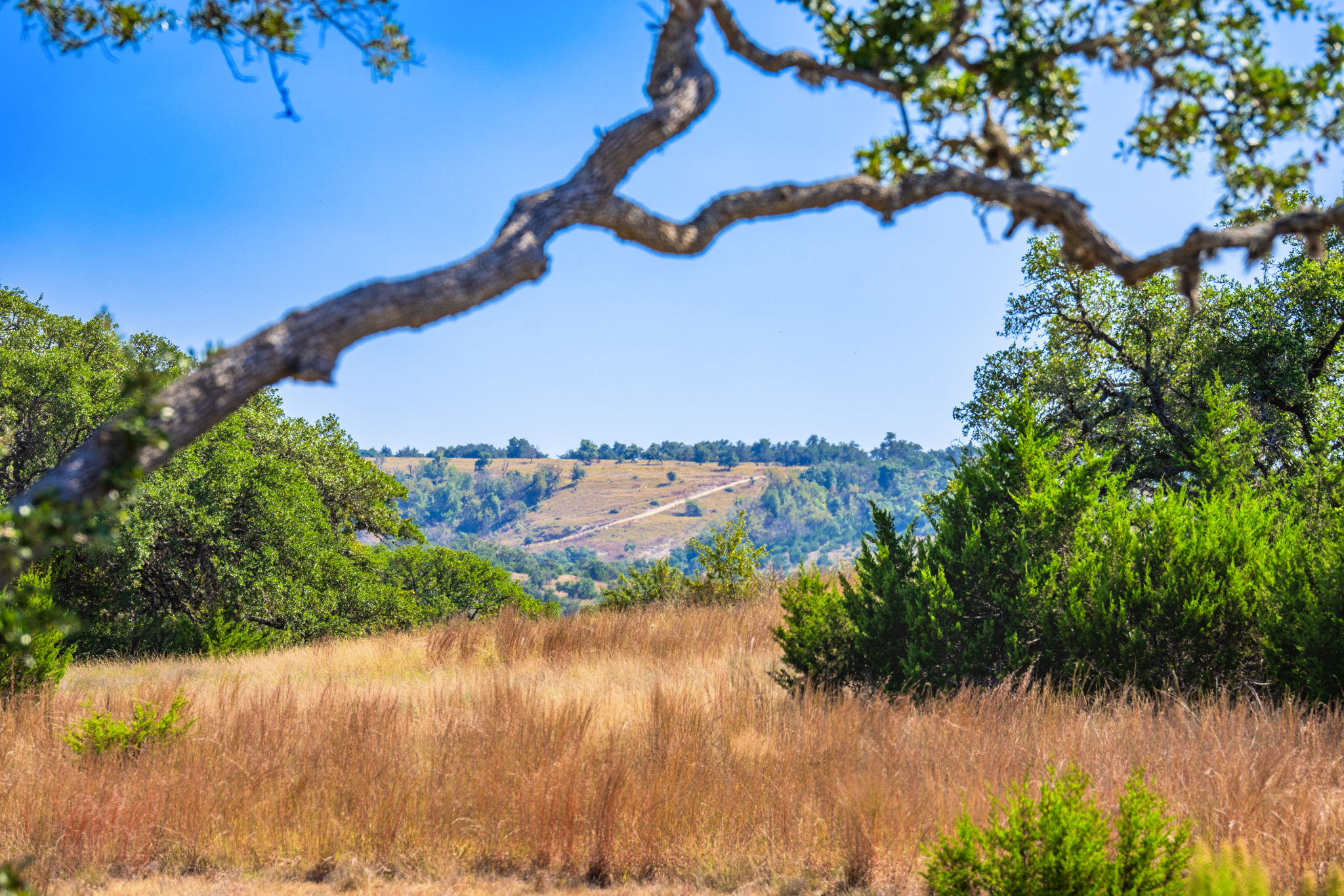 1495 Walnut Springs Road Johnson City, TX 78636 - Photo 18 of 23 an aerial view of a house a yard and lake view