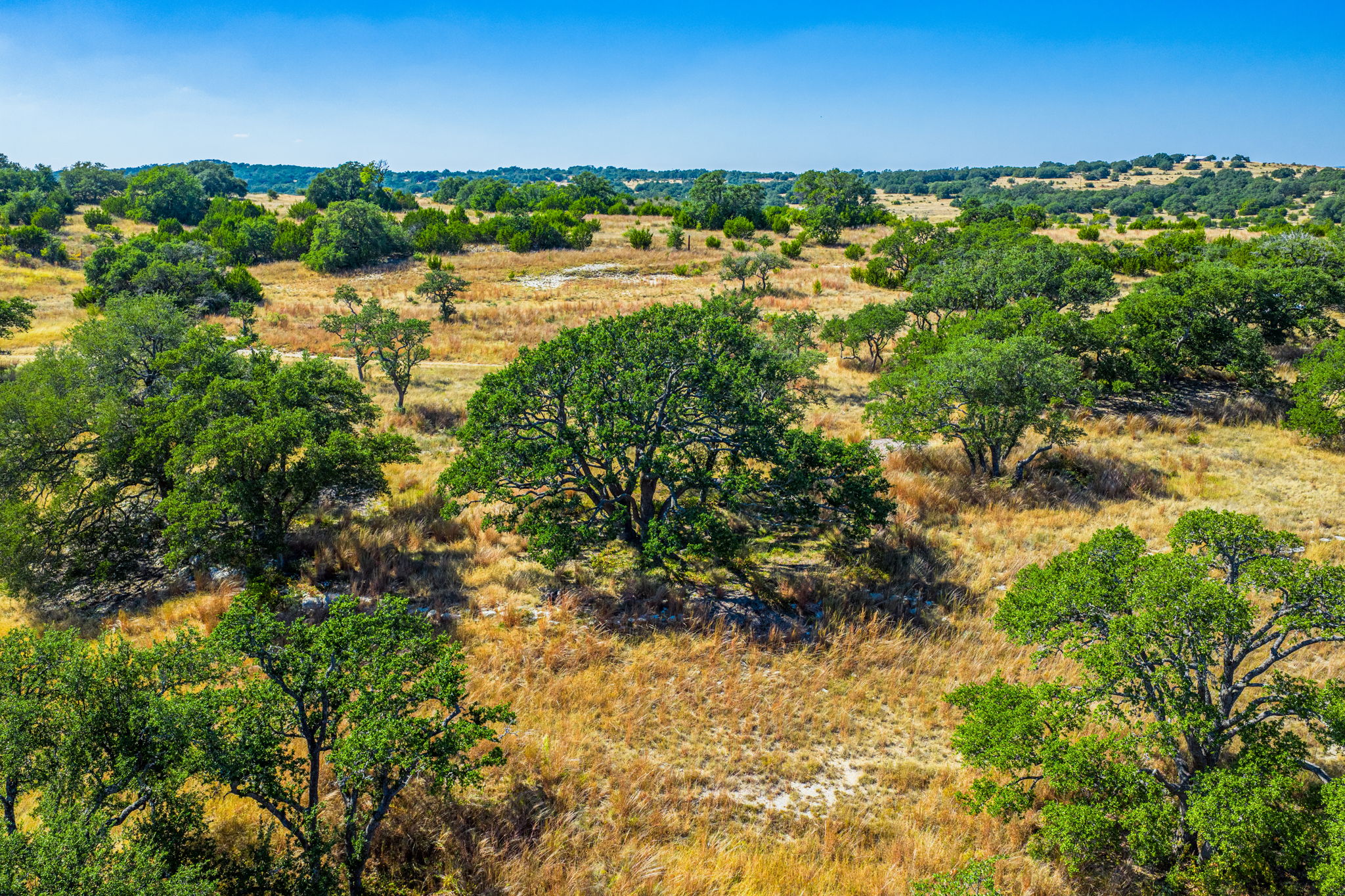 1495 Walnut Springs Road Johnson City, TX 78636 - Photo 8 of 23 a view of a houses with a lake view