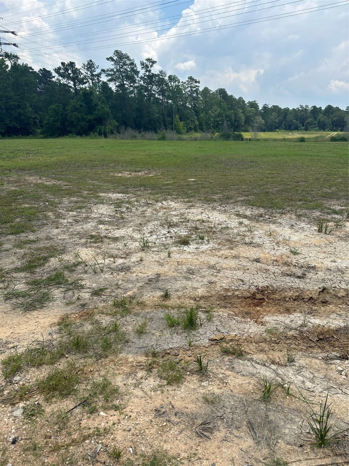 34616 Highway 249 Pinehurst, TX 77362 - Photo 3 of 7