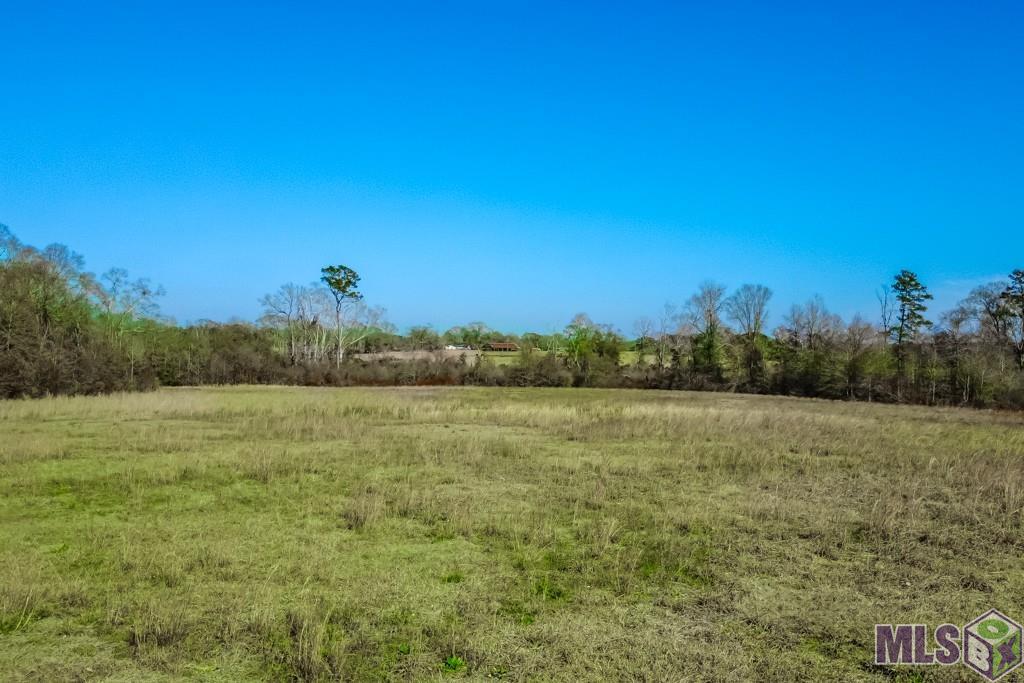 Tbd Boomerang Road Amite, LA 70422 - Photo 4 of 12 Gallery Image 4