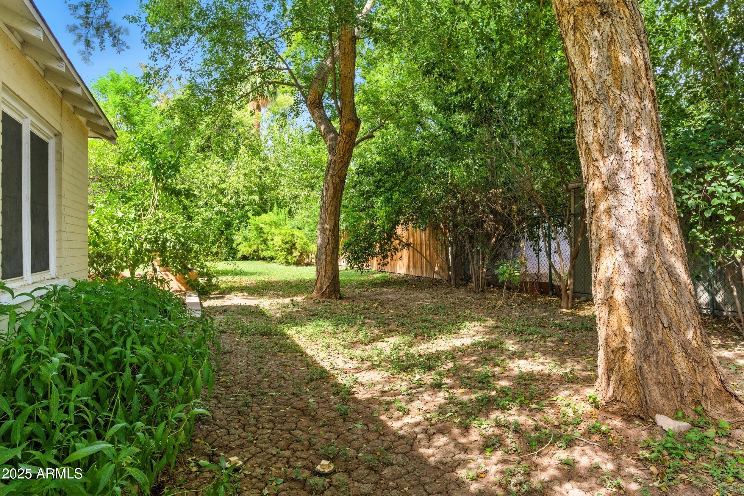 22 East 15th Street Tempe, AZ 85281 - Photo 80 of 84 a view of a yard with tree s