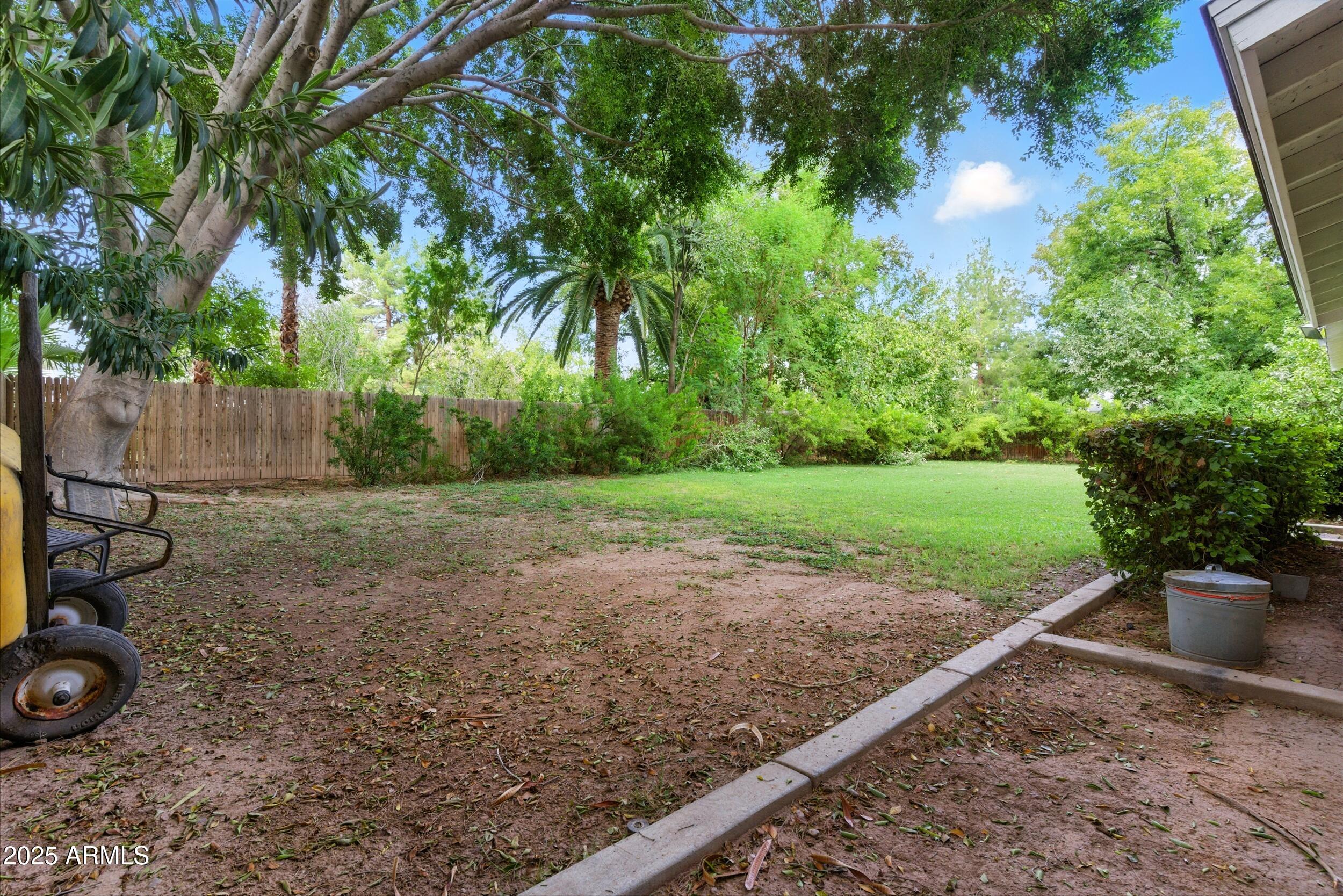 22 East 15th Street Tempe, AZ 85281 - Photo 81 of 84 a view of a backyard with tall trees
