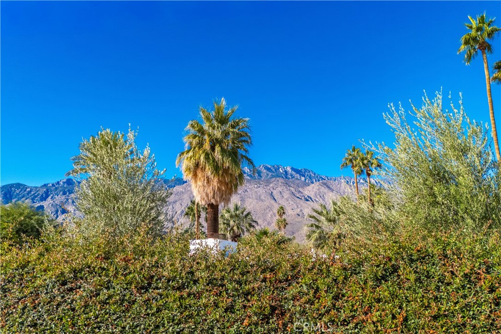 57031 Selecta Avenue Yucca Valley, CA 92284 - Photo 50 of 56 a view of a flower