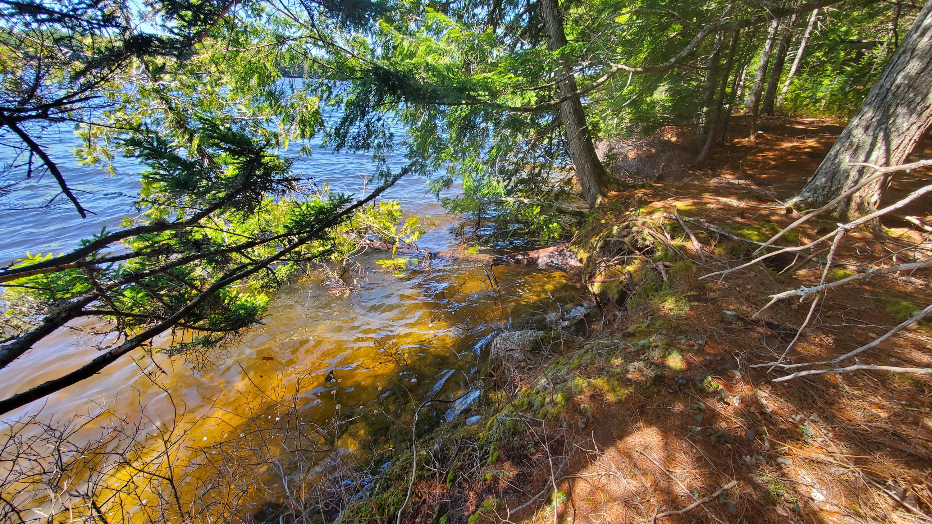 307 Lakeville Shores Road Lakeville, ME 04487 - Photo 30 of 39 20250430_113611