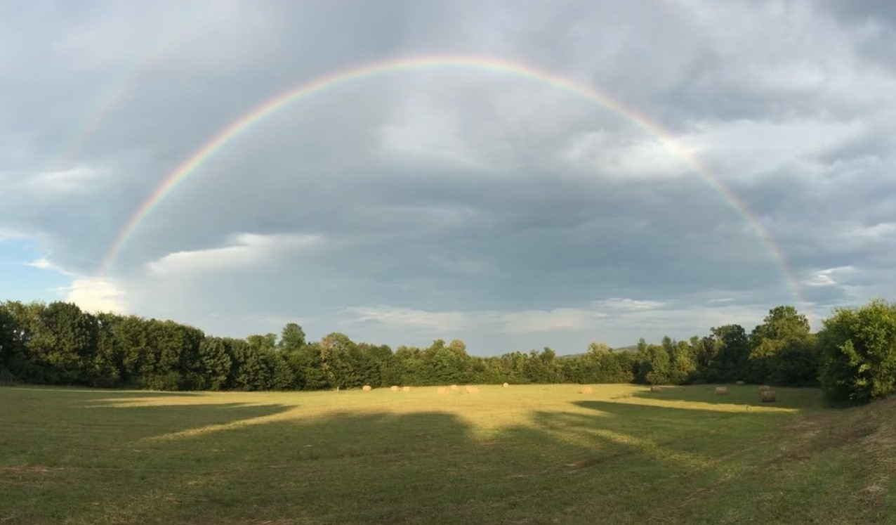 4285 Franklin Road Lebanon, TN 37090 - Photo 87 of 90