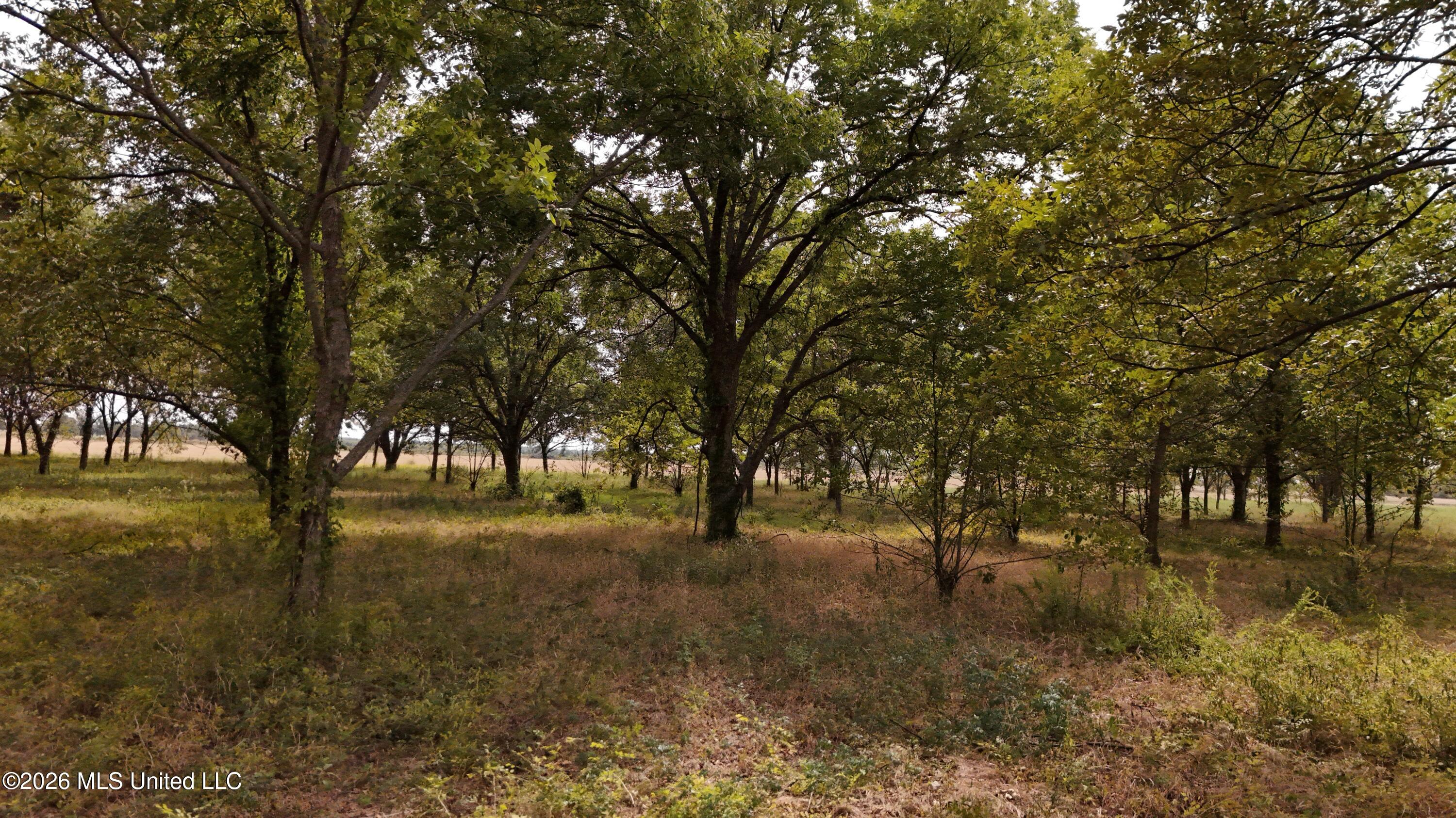Interstate Road Shaw, MS 38773 - Photo 3 of 31 DJI_20260926154904_0641_D