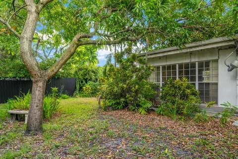 a view of a backyard with plants and large trees