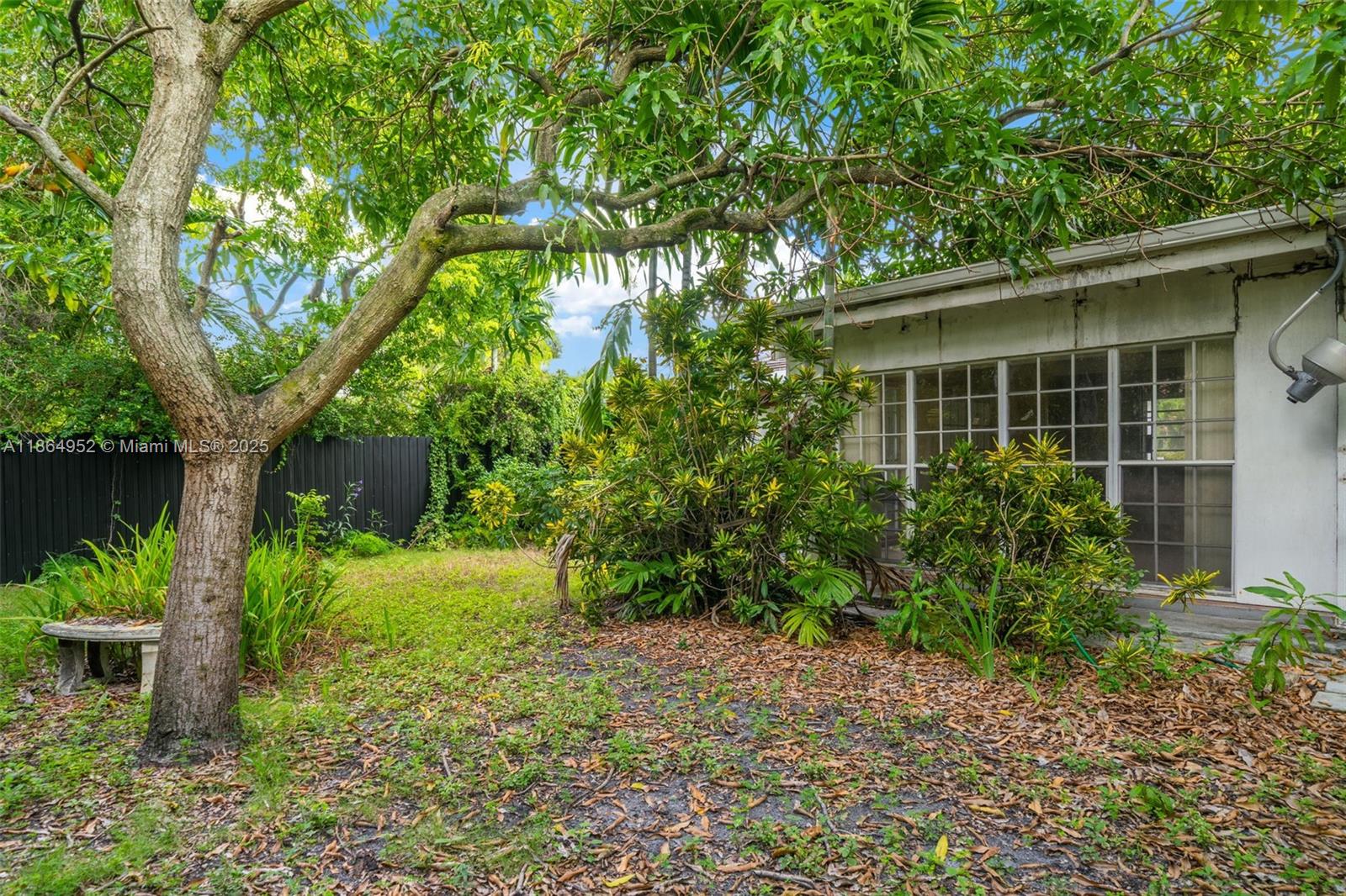 531 Northeast 55th Terrace Miami, FL 33137 - Photo 12 of 15 a view of a backyard with plants and large trees