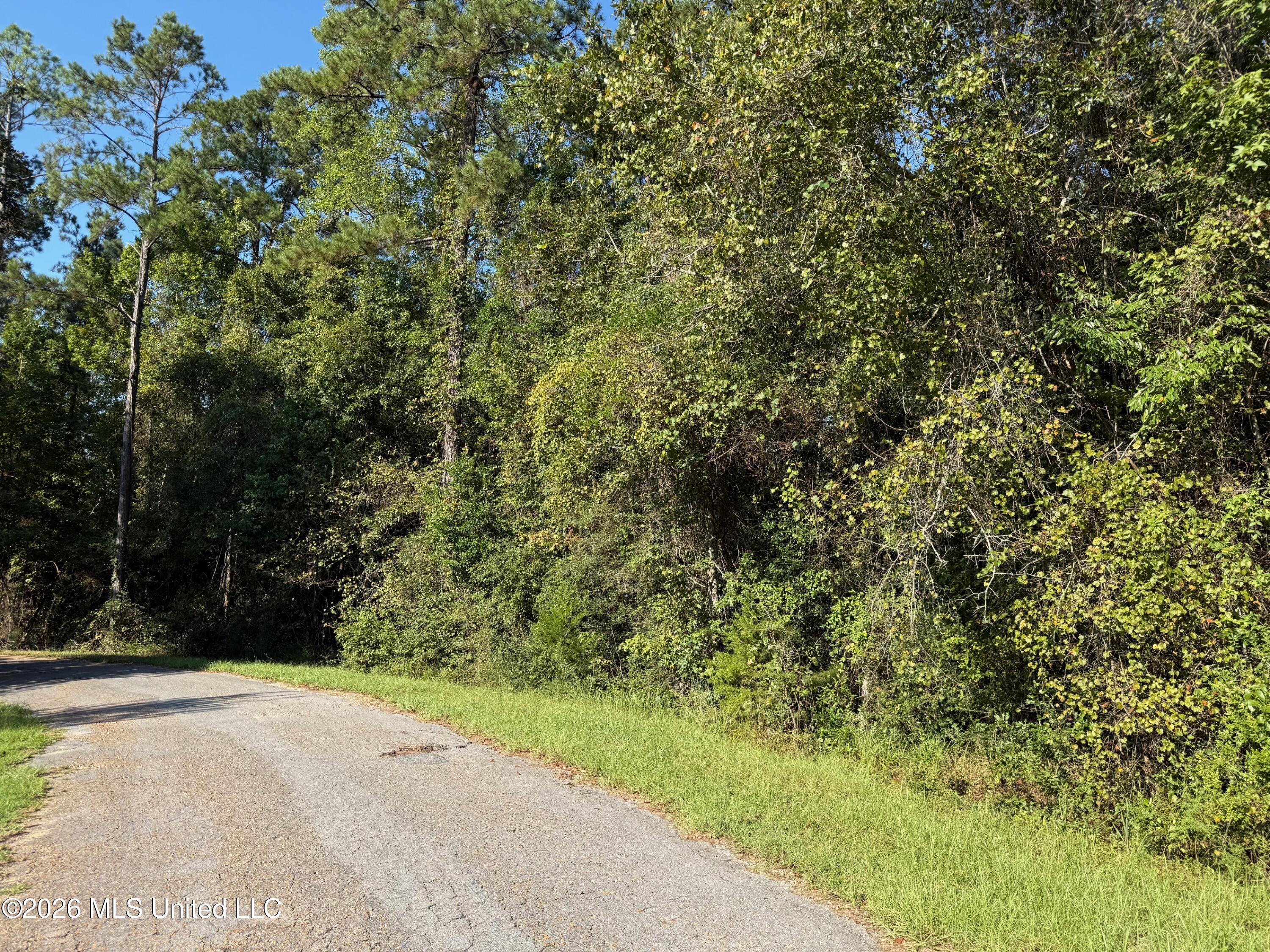 7-ac Fork Road Lucedale, MS 39452 - Photo 1 of 4 IMG_7489