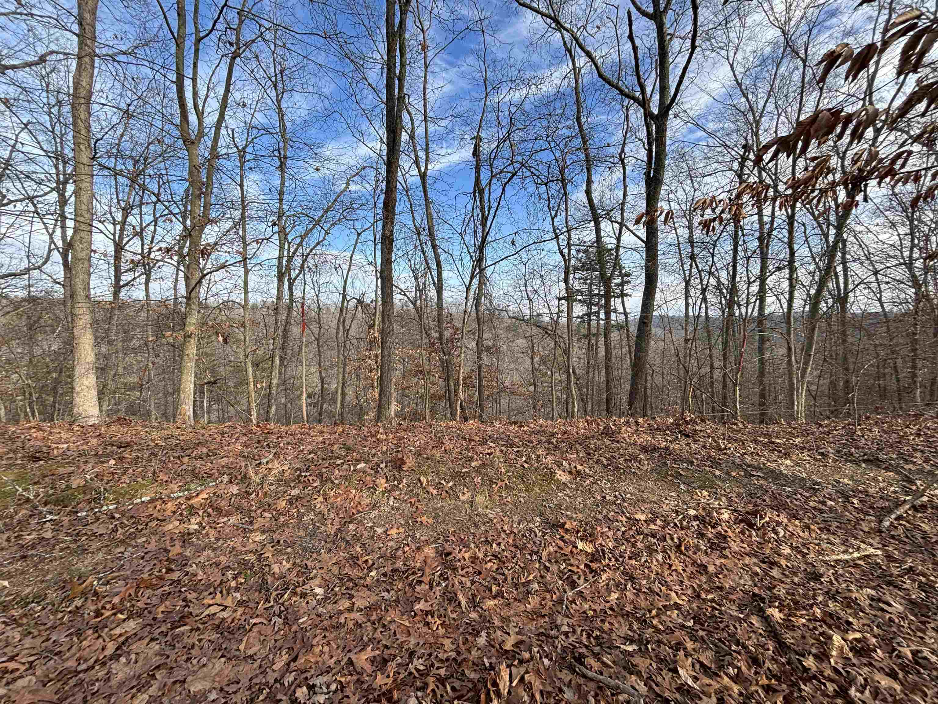 0 Dry Ridge Louisa, KY 41230 - Photo 2 of 18