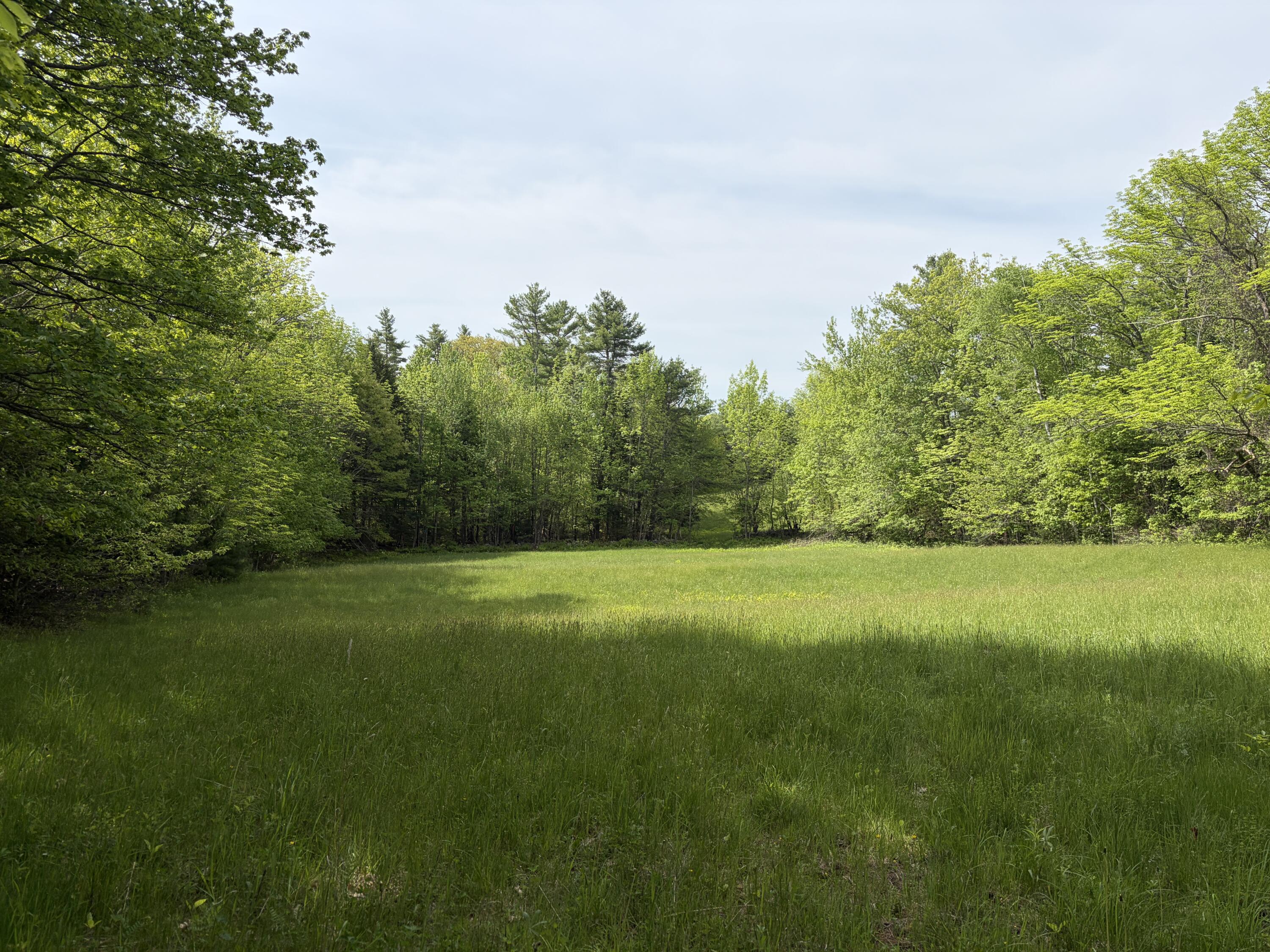 Lot 1 Waldoboro Road Washington, ME 04574 - Photo 20 of 39
