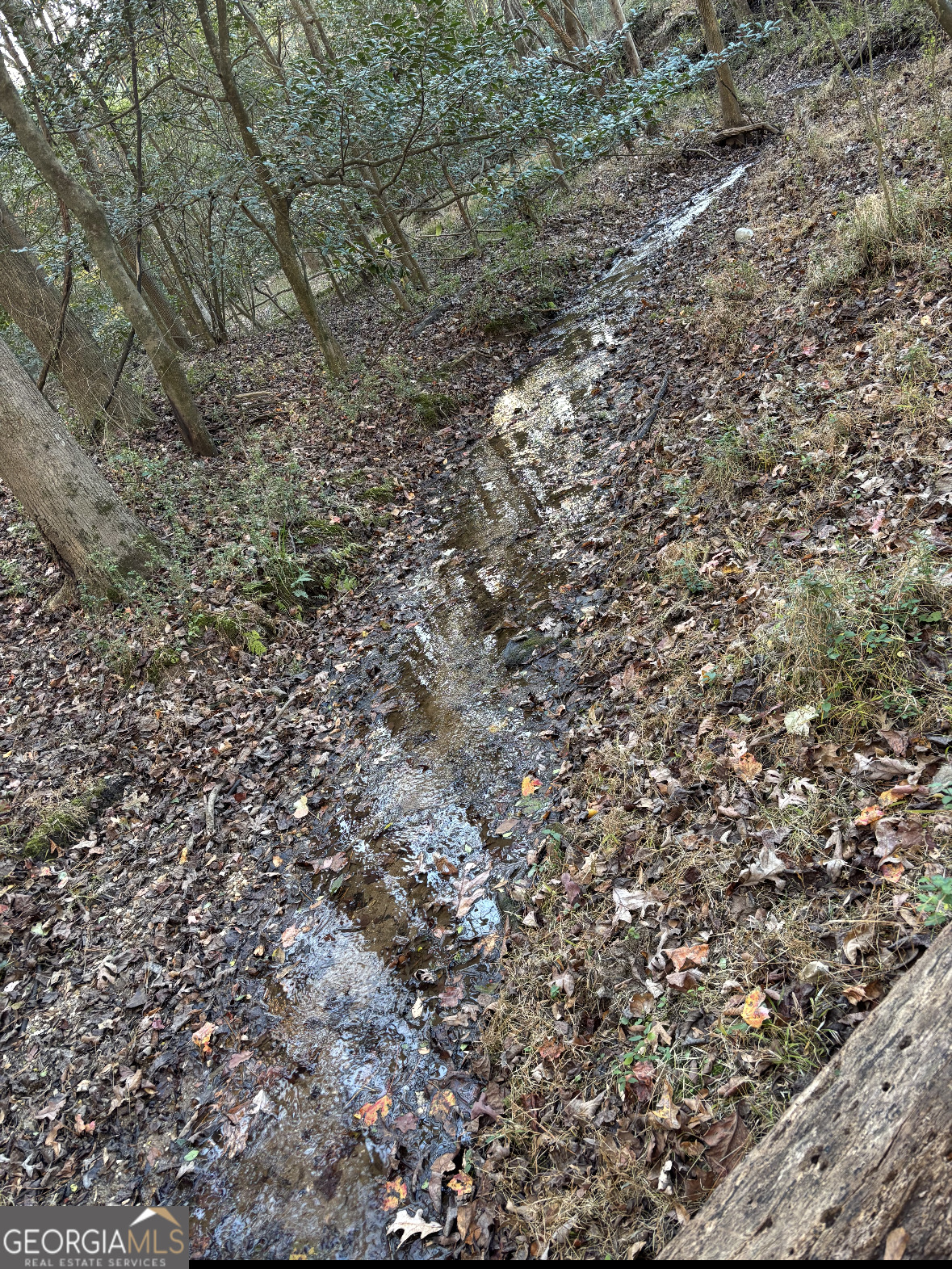 0 Lord Road Tract, Unit 3 Commerce, GA 30530 - Photo 2 of 4