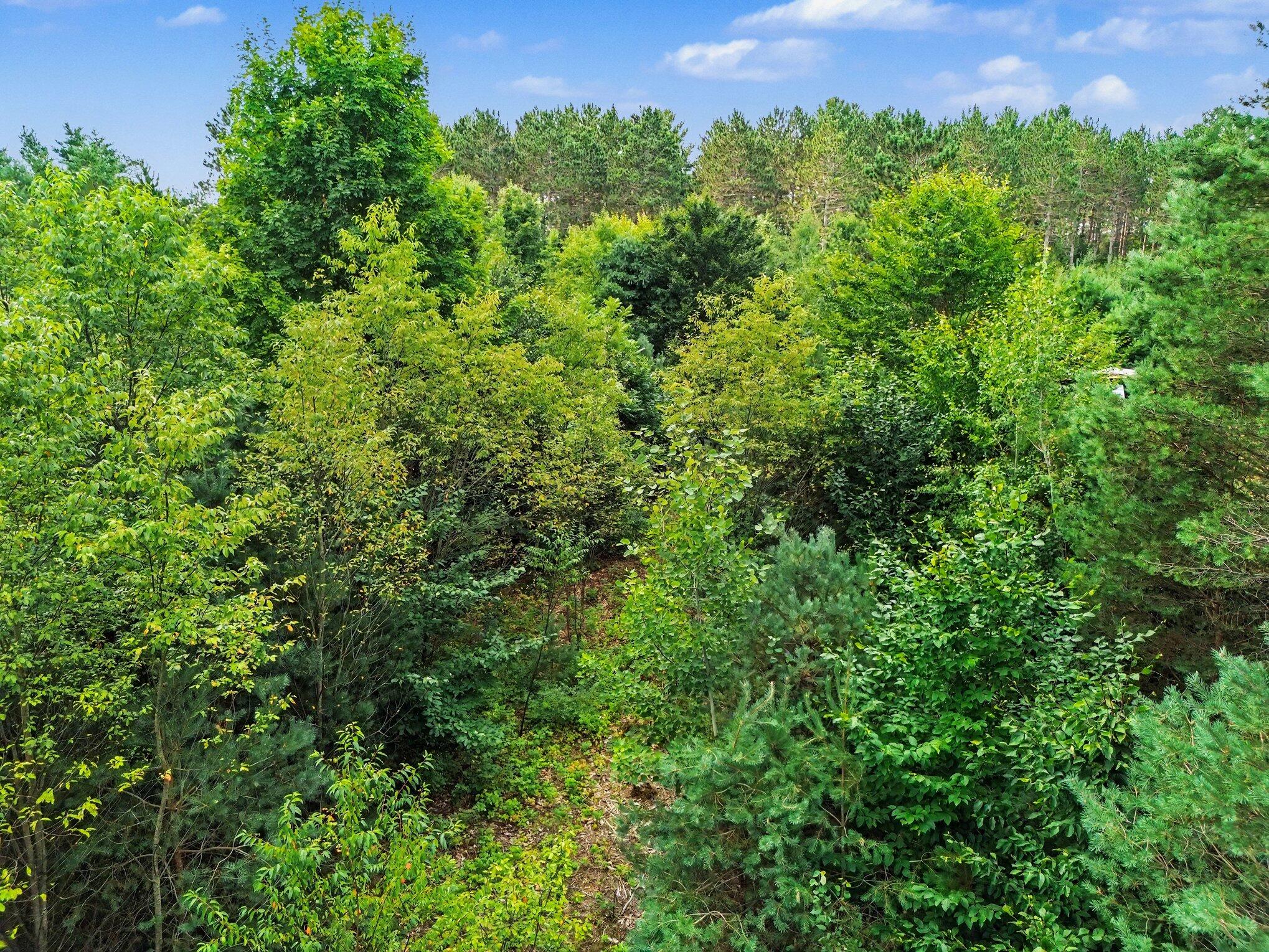 8732 Aylsworth Road Benzonia, MI 49616 - Photo 12 of 21 009_file_9498