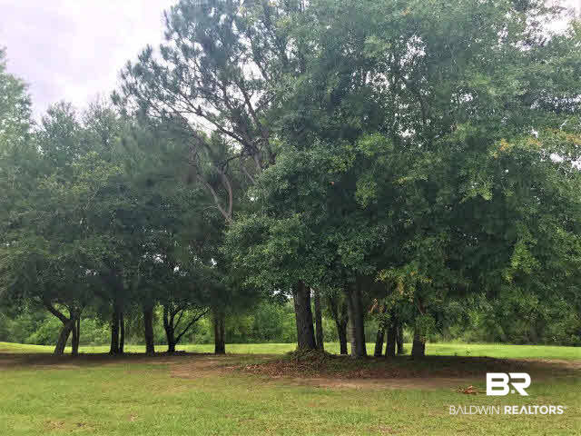 509 Calibre Street Fairhope, AL 36532 - Photo 3 of 4 Dedicated GreenSpace