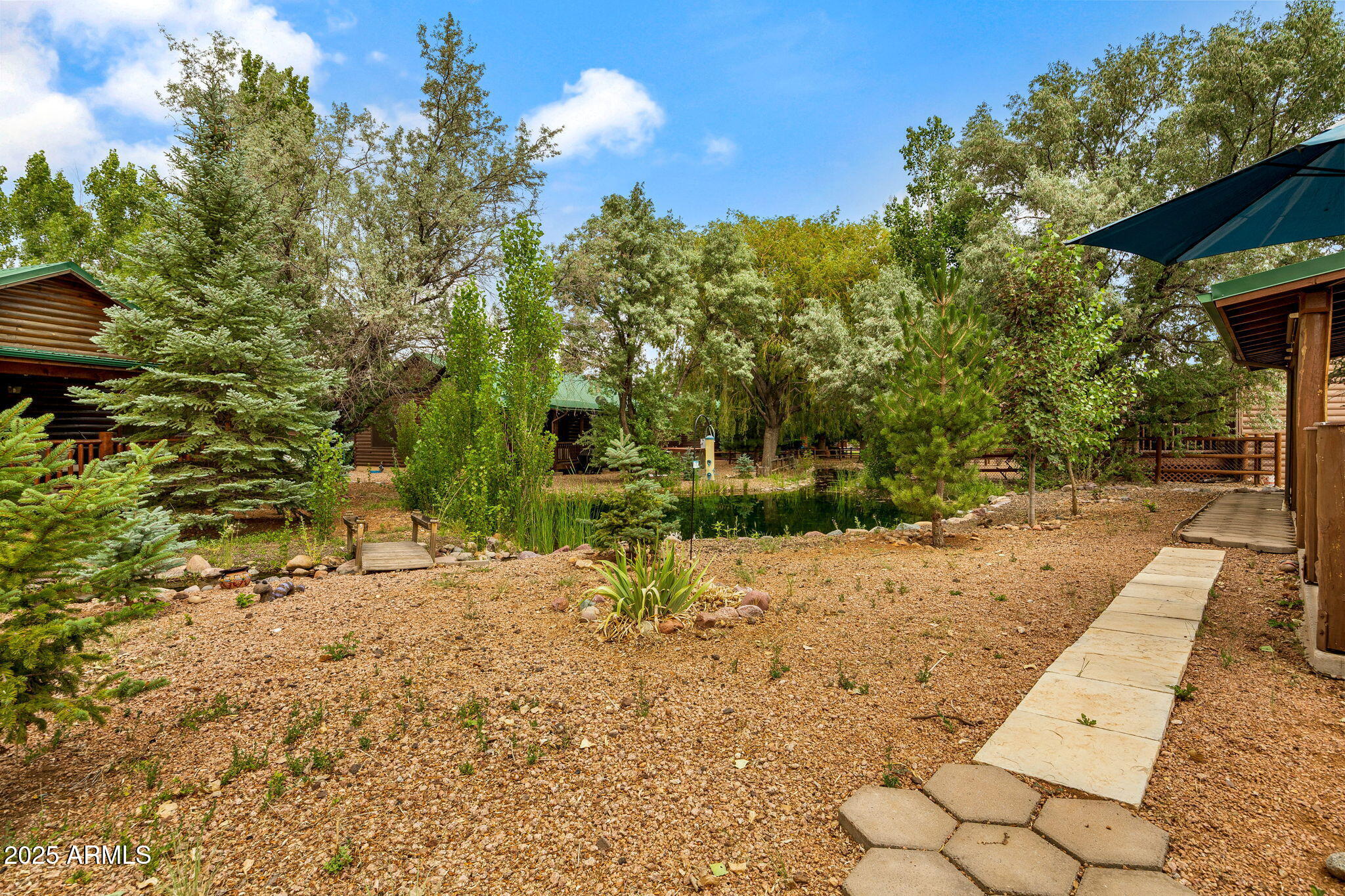 2344 South Buffalo Loop Overgaard, AZ 85933 - Photo 33 of 48 NICE TREES ON THE PROPERTY