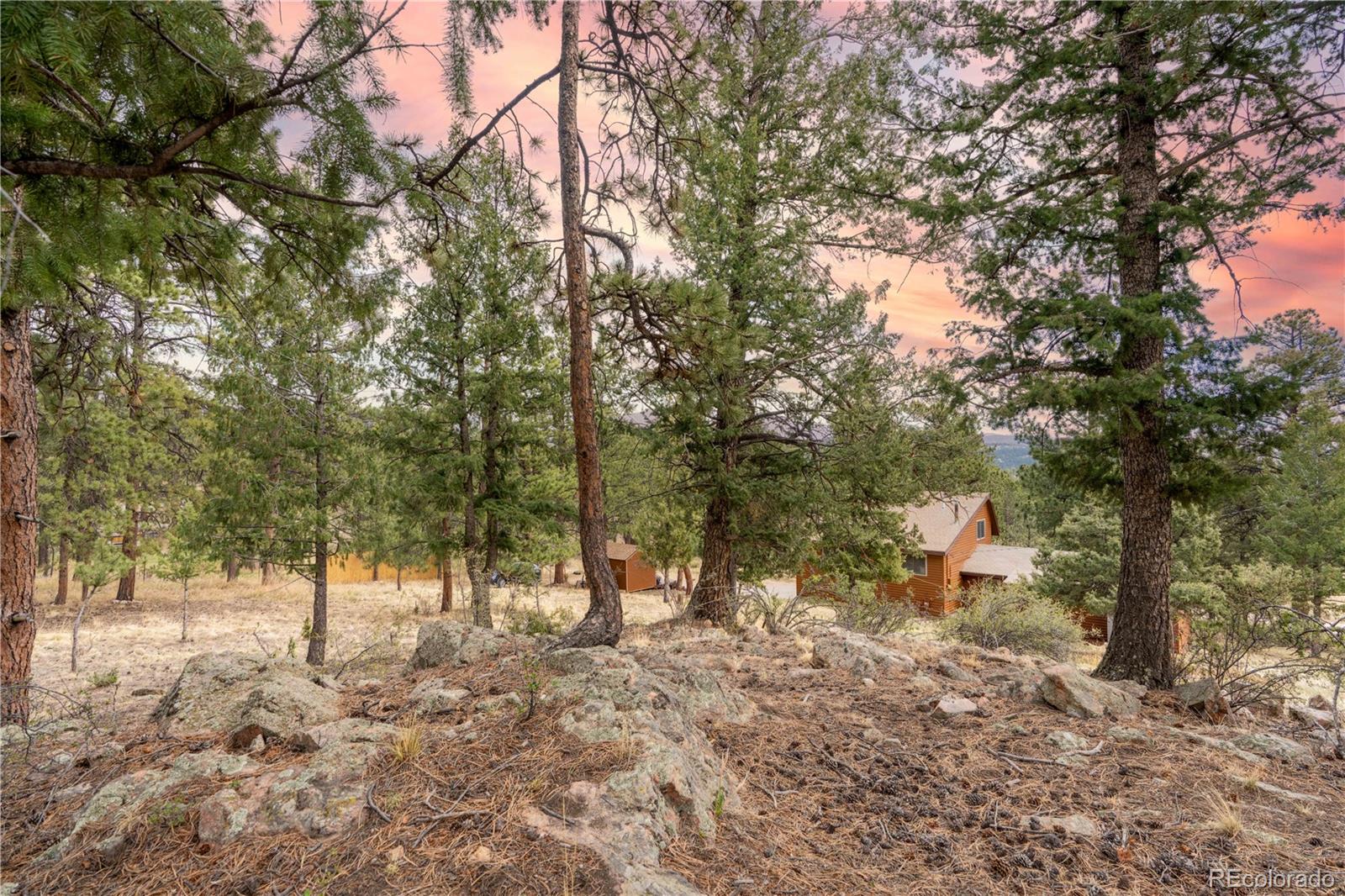 43 Doe Circle Bailey, CO 80421 - Photo 27 of 35