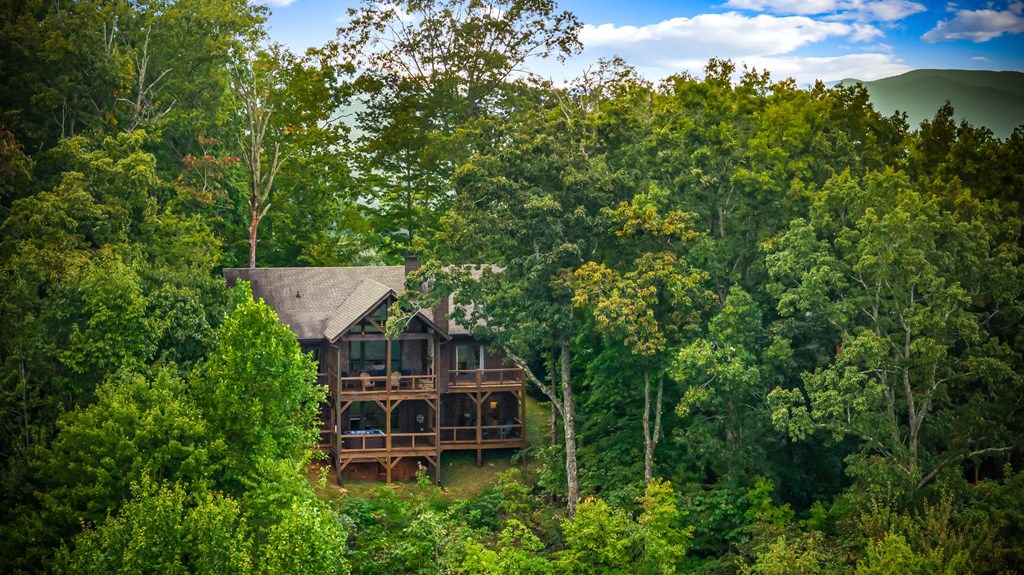 401 Sunrock Mountain Trace Blue Ridge, GA 30513 - Photo 65 of 80 Gallery Image 65