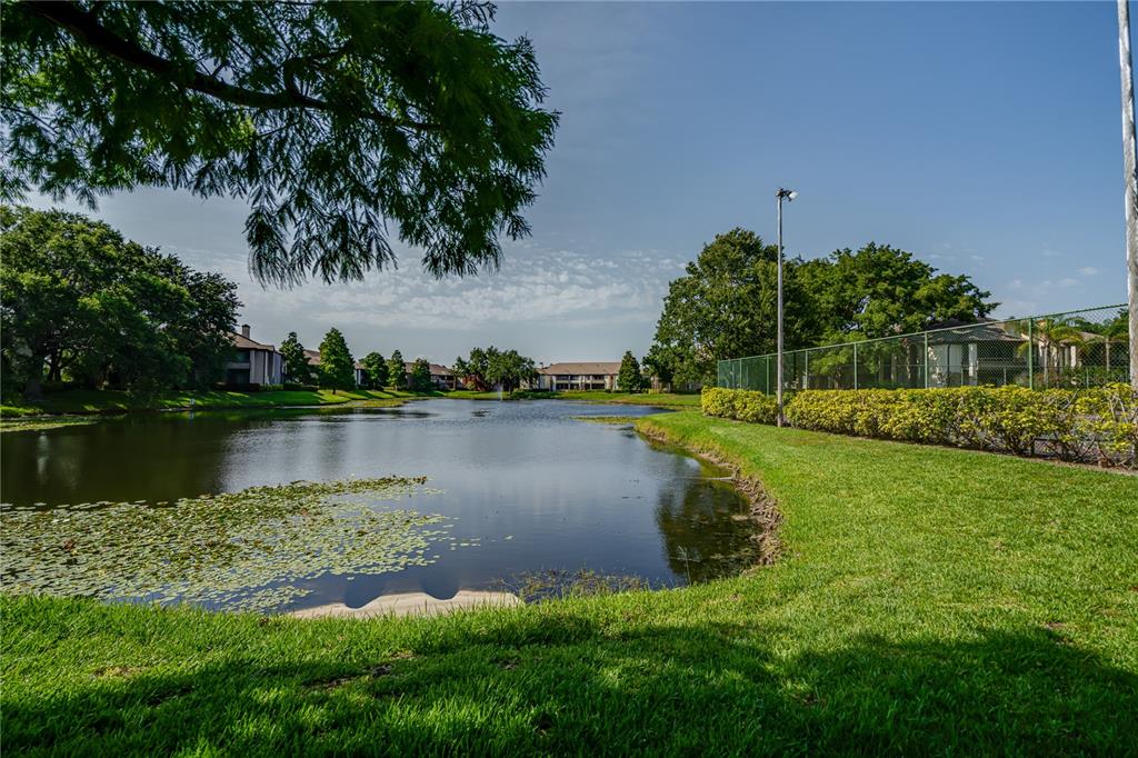 10263 Gandy Boulevard North, Unit 2106 St. Petersburg, FL 33702 - Photo 4 of 44