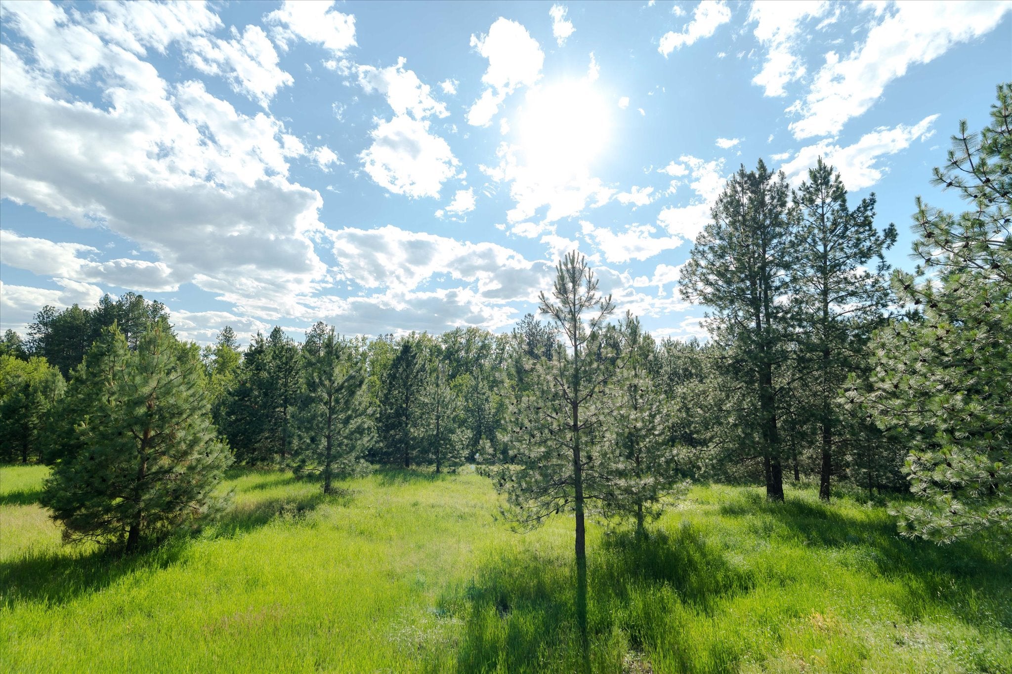 42439 Canal Road Ronan, MT 59864 - Photo 51 of 81 Gallery Image 51