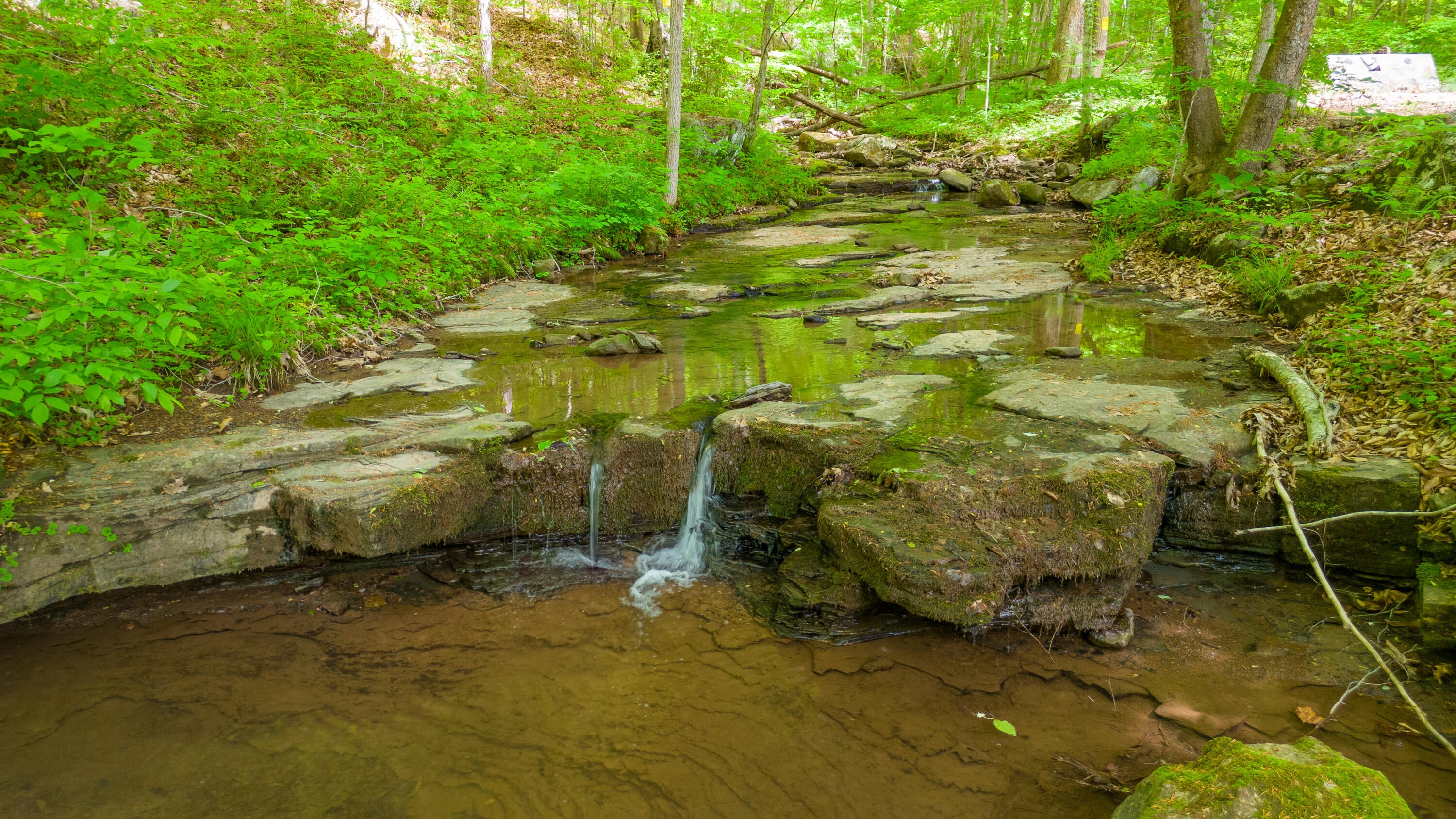 800 Eagle Branch Road Alderson, WV 24910 - Photo 43 of 57 Gallery Image 43