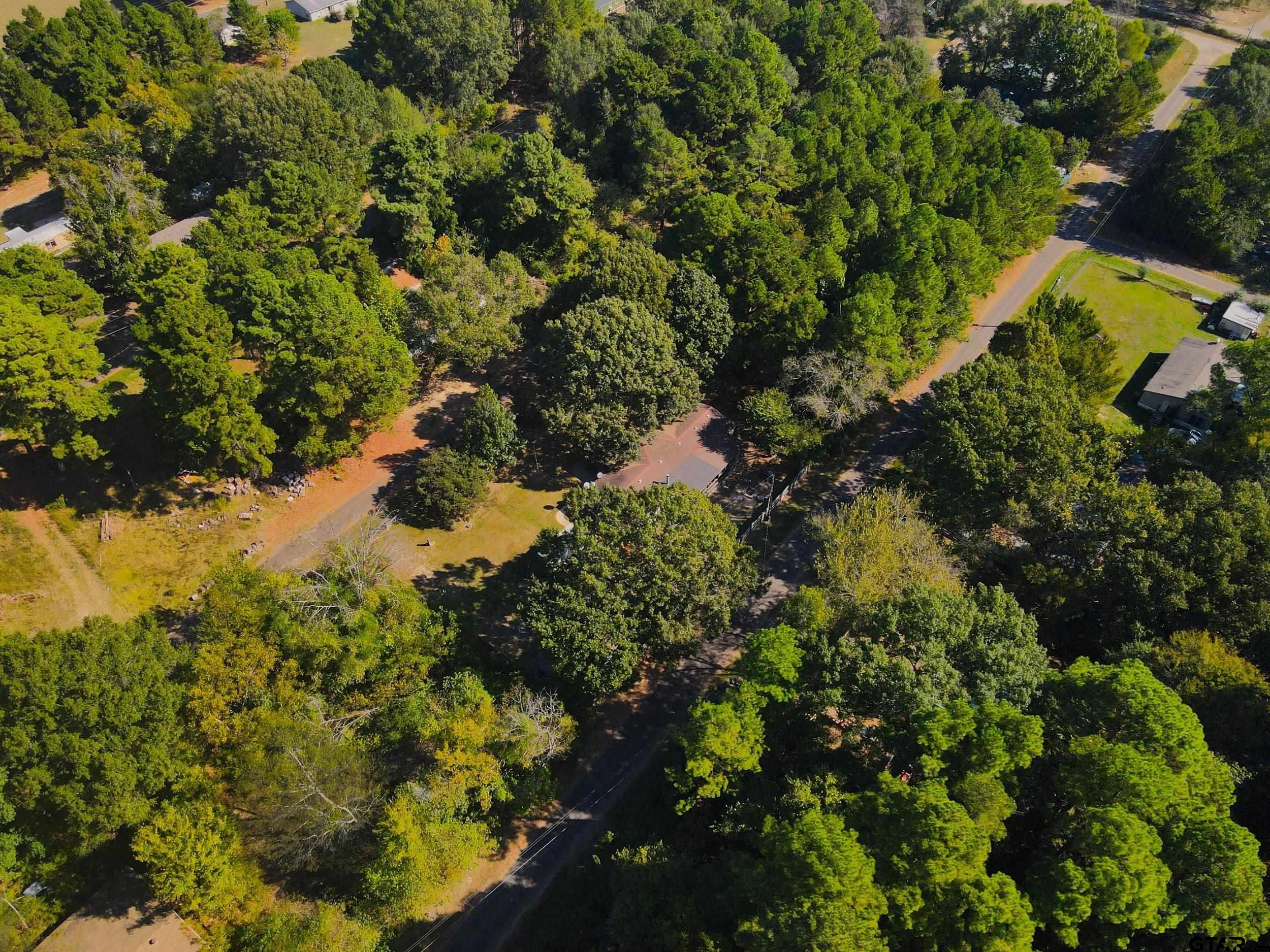 264 County Road 2169 Quitman, TX 75783 - Photo 18 of 34