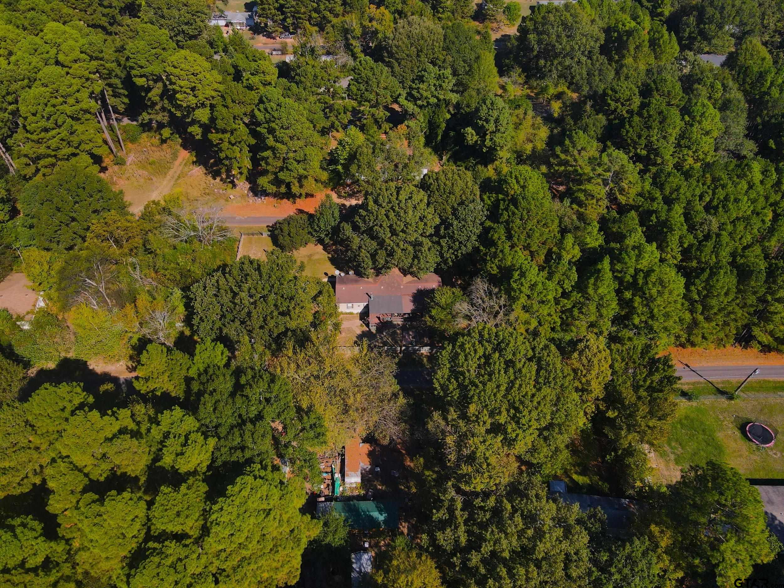 264 County Road 2169 Quitman, TX 75783 - Photo 19 of 34 a view of a garden