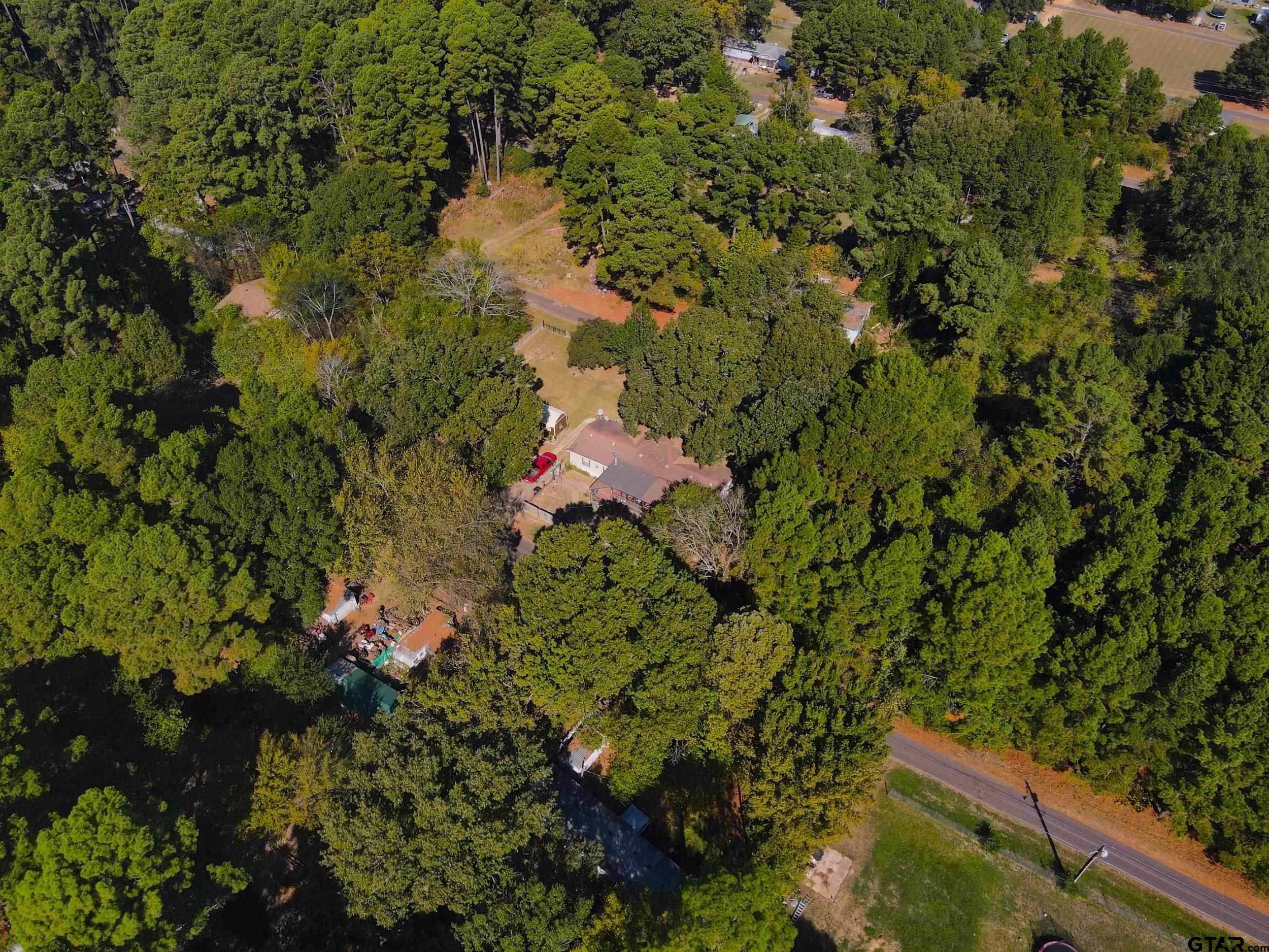 264 County Road 2169 Quitman, TX 75783 - Photo 20 of 34 a view of a garden with plants