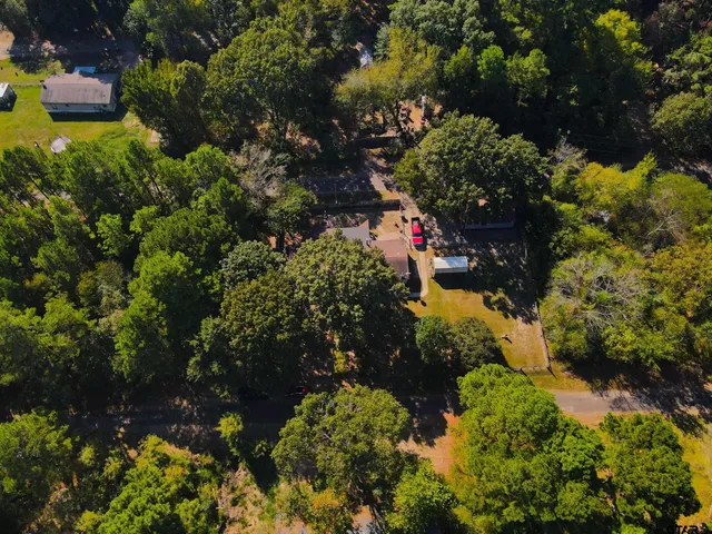 a picture of flowers