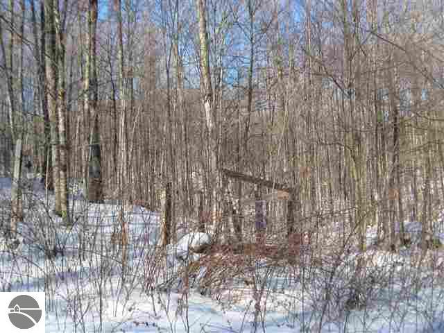 550 Starks Road Mancelona, MI 49659 - Photo 11 of 12 1733439-10.JPG